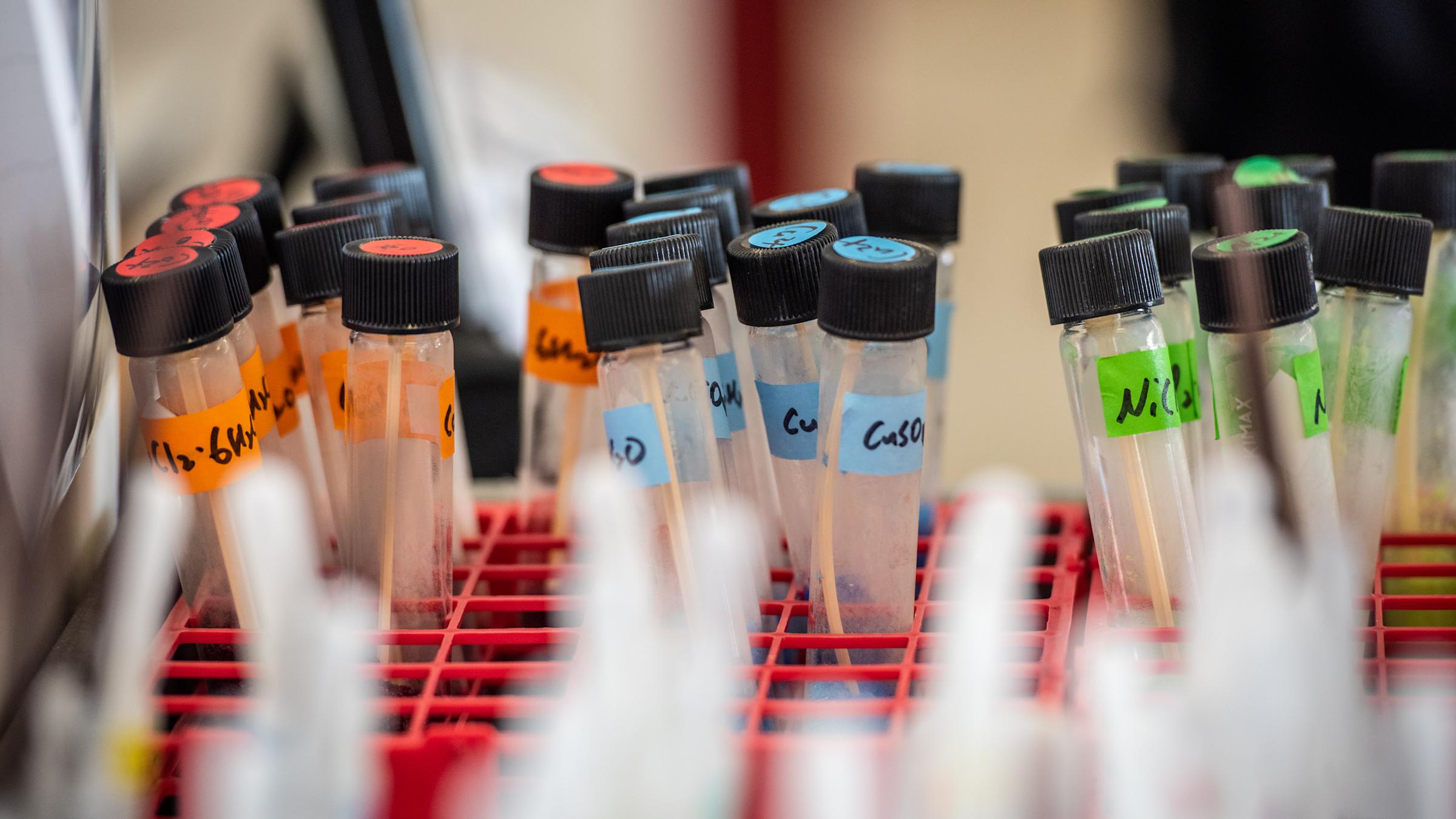 Vials in chemistry lab