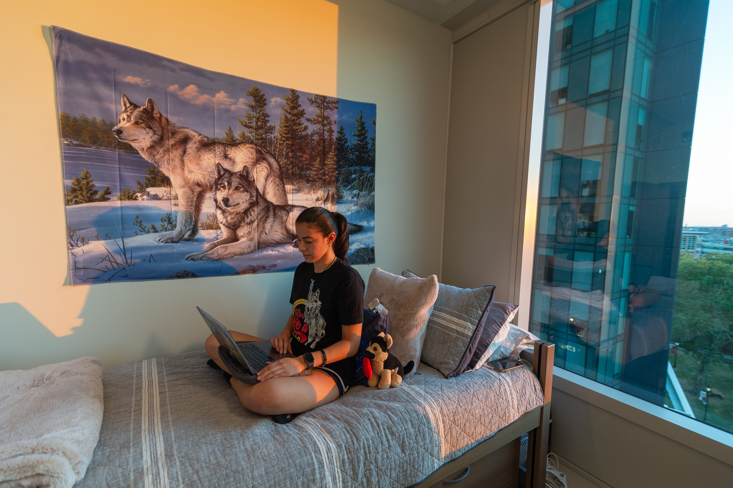 Student sits on her bed looking at her laptop with large wolf tapestry behind her.