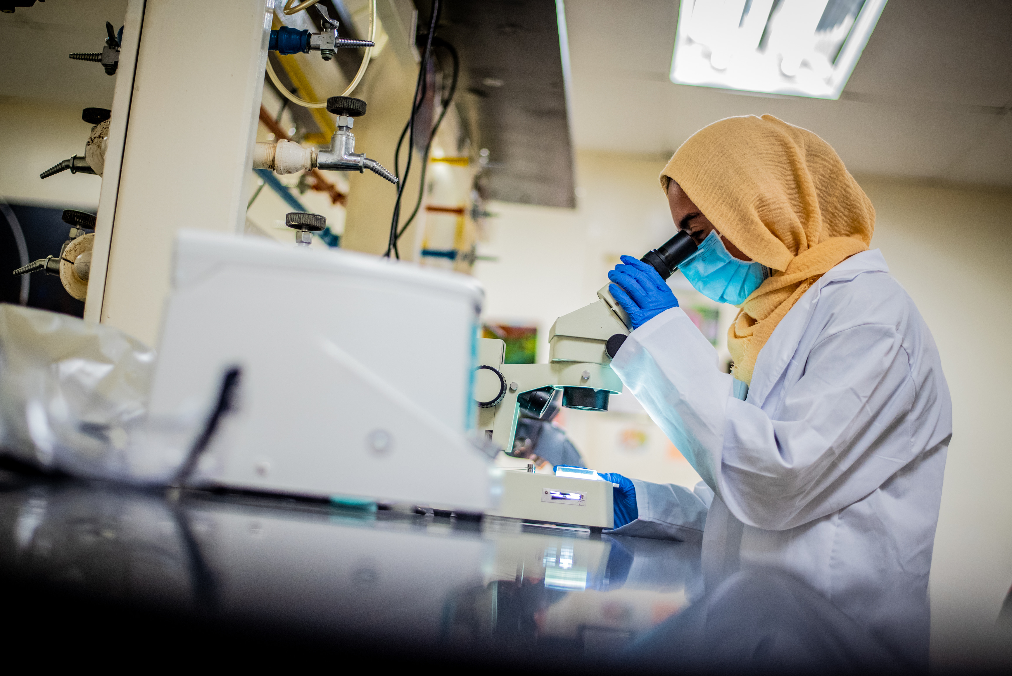 Student in lab looks into microscope.