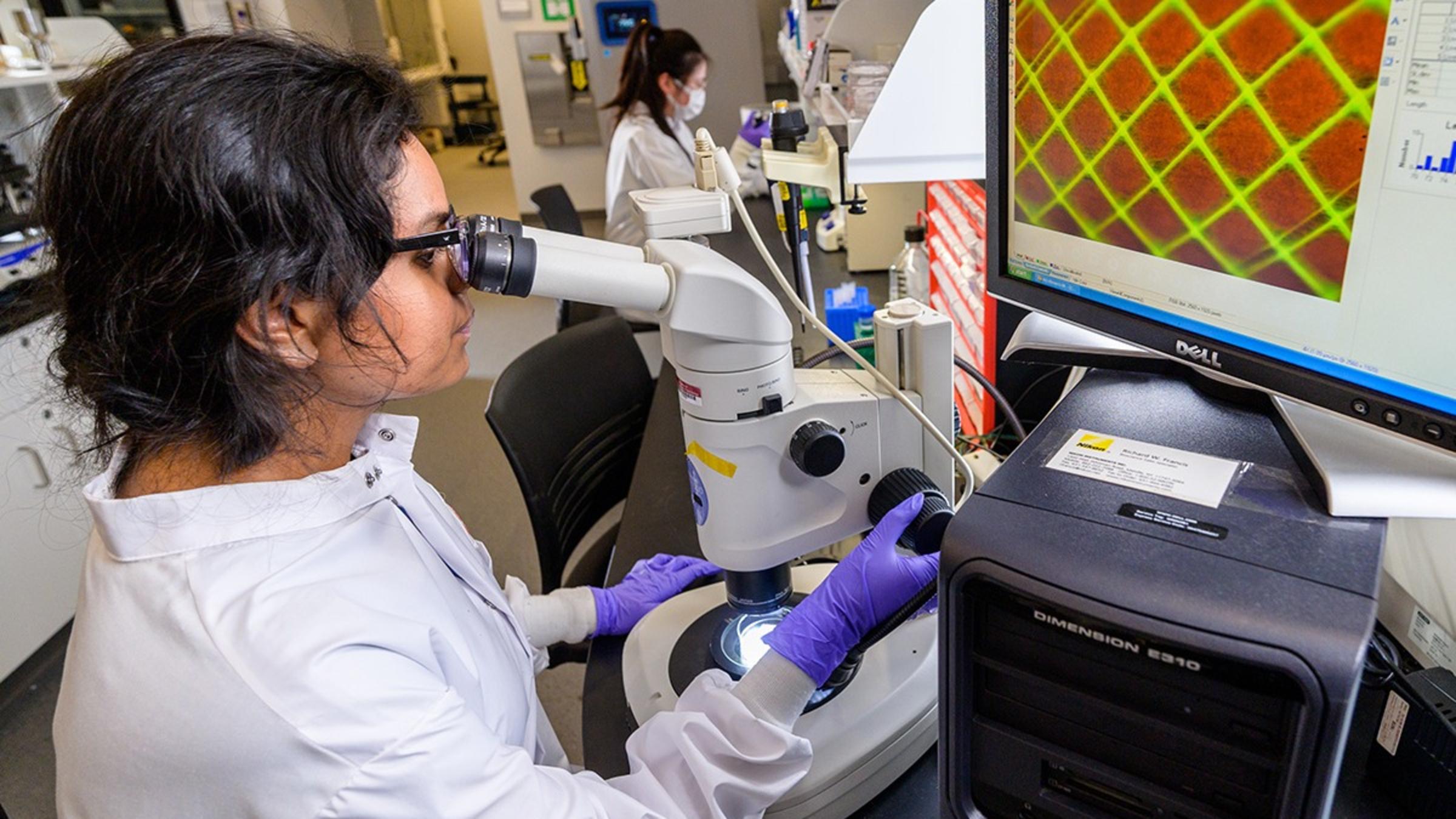 A female student in a lab coat looking into a microscope in a lab.