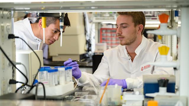 2 male students working in lab