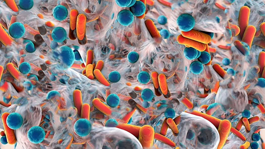 Bacteria in a Biofilm, Illustration.