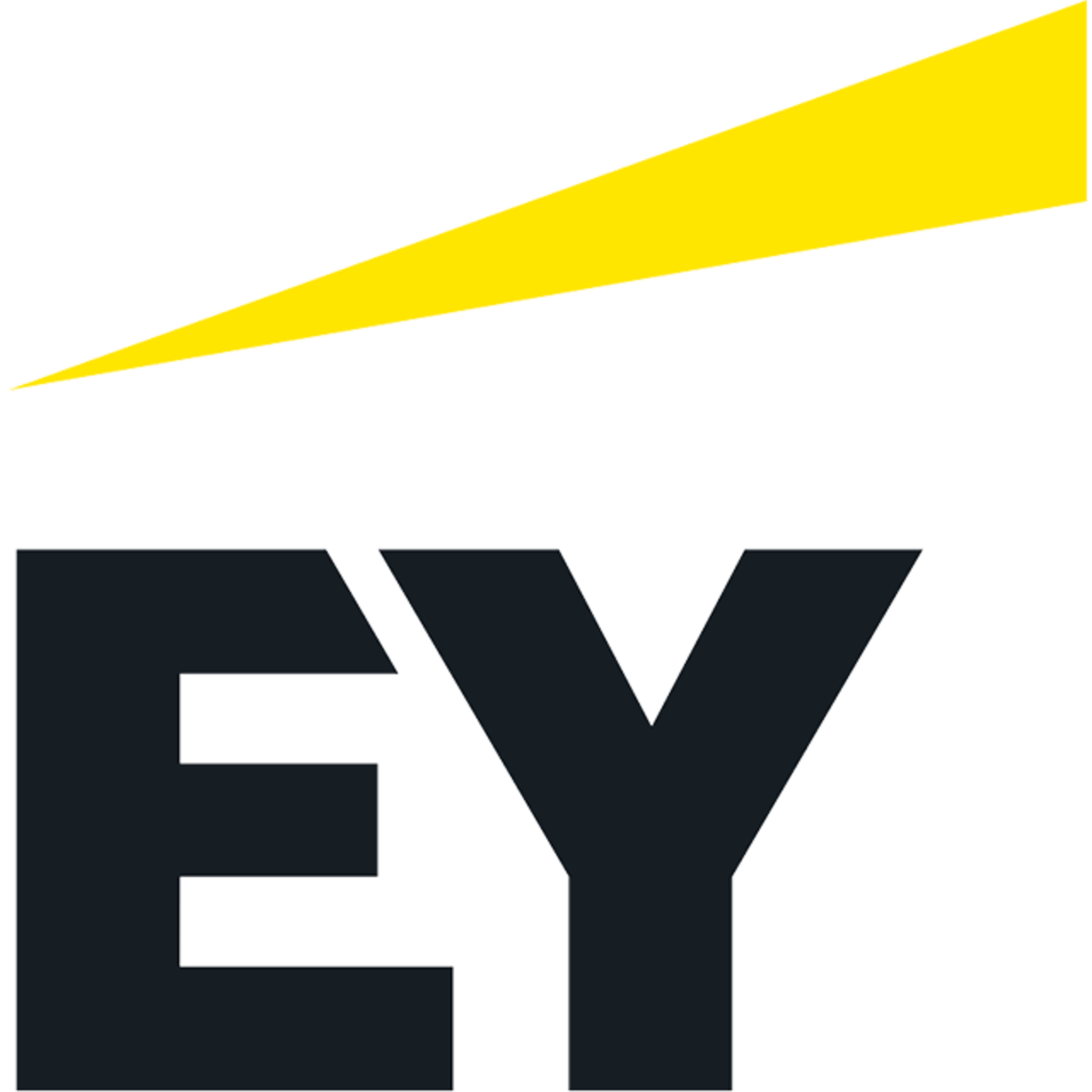 EY Ernst & Young