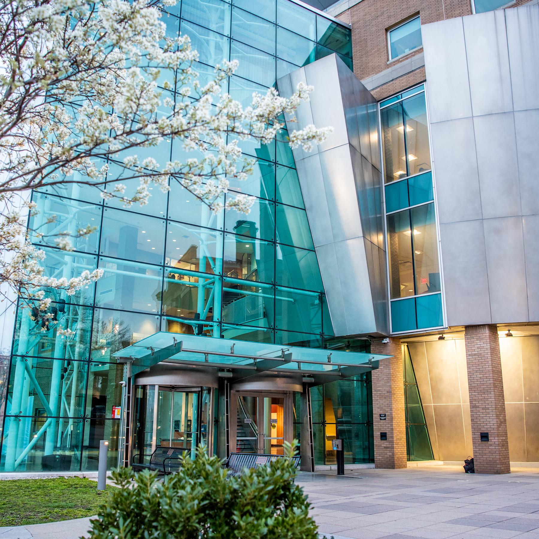 Entrance to Babbio Center with blossoming tree in foreground.