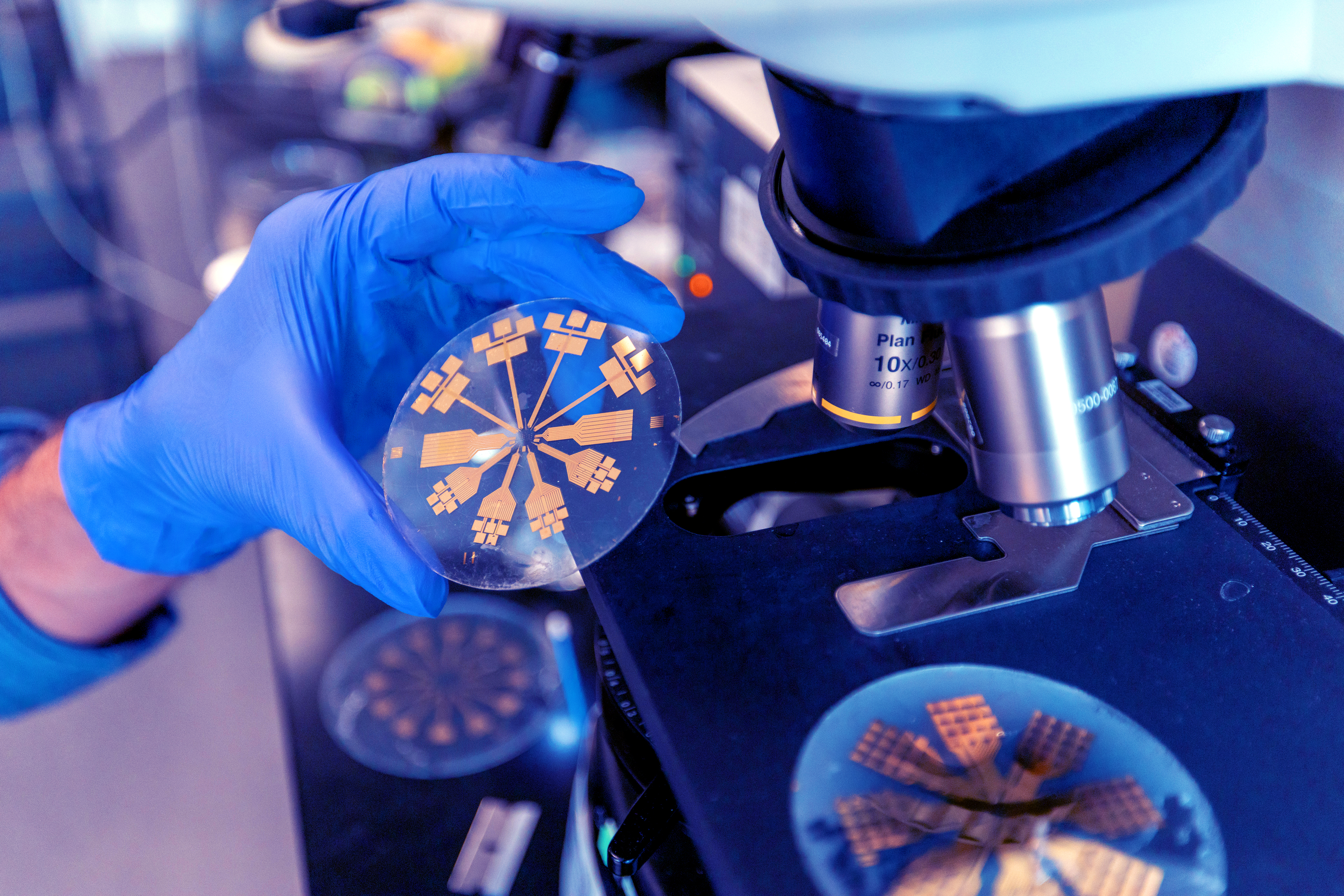 Undergraduate Research