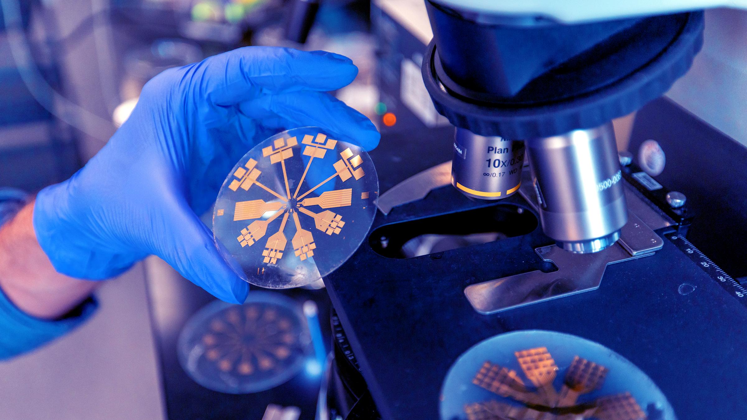 Undergraduate Research