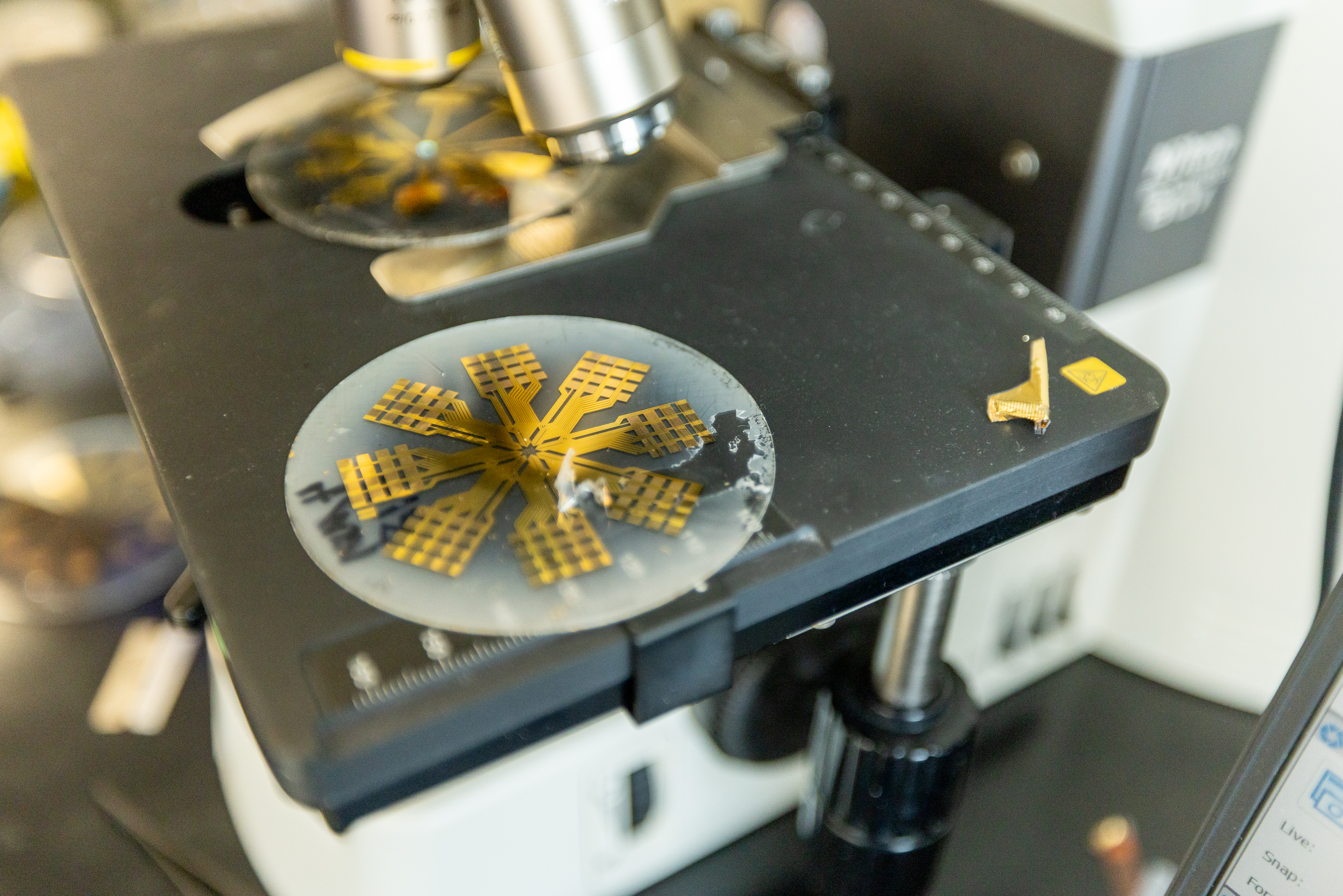 Plates made for a microscope in a biomedical engineering lab at Stevens Institute of Technology.