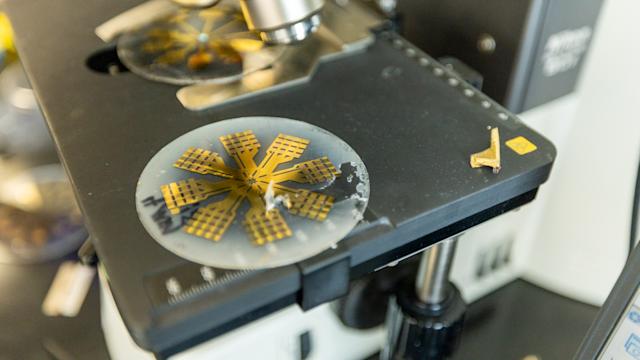 Plates made for a microscope in a biomedical engineering lab at Stevens Institute of Technology.