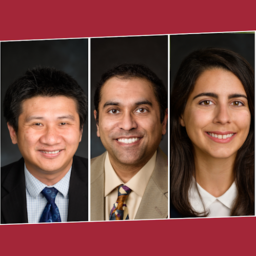 Photos of, left to right: Shang Wang, Yu Gan, Raviraj Nataraj, Antonia Zefariou, Jinho Kim