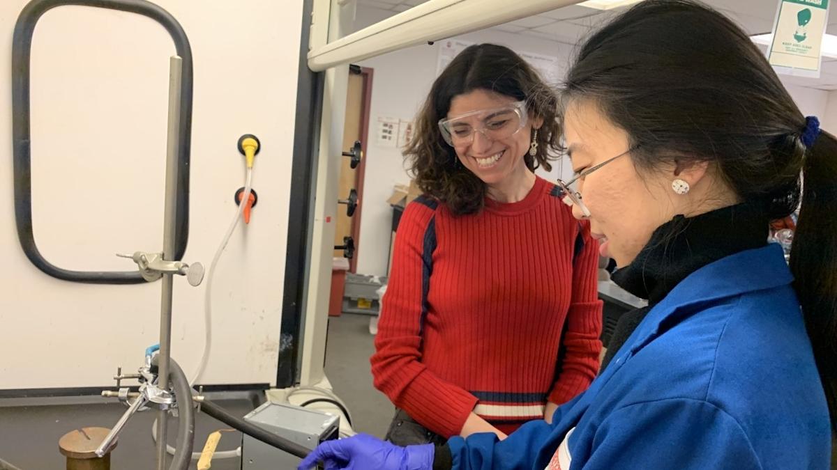 Pinar Akcora's lab