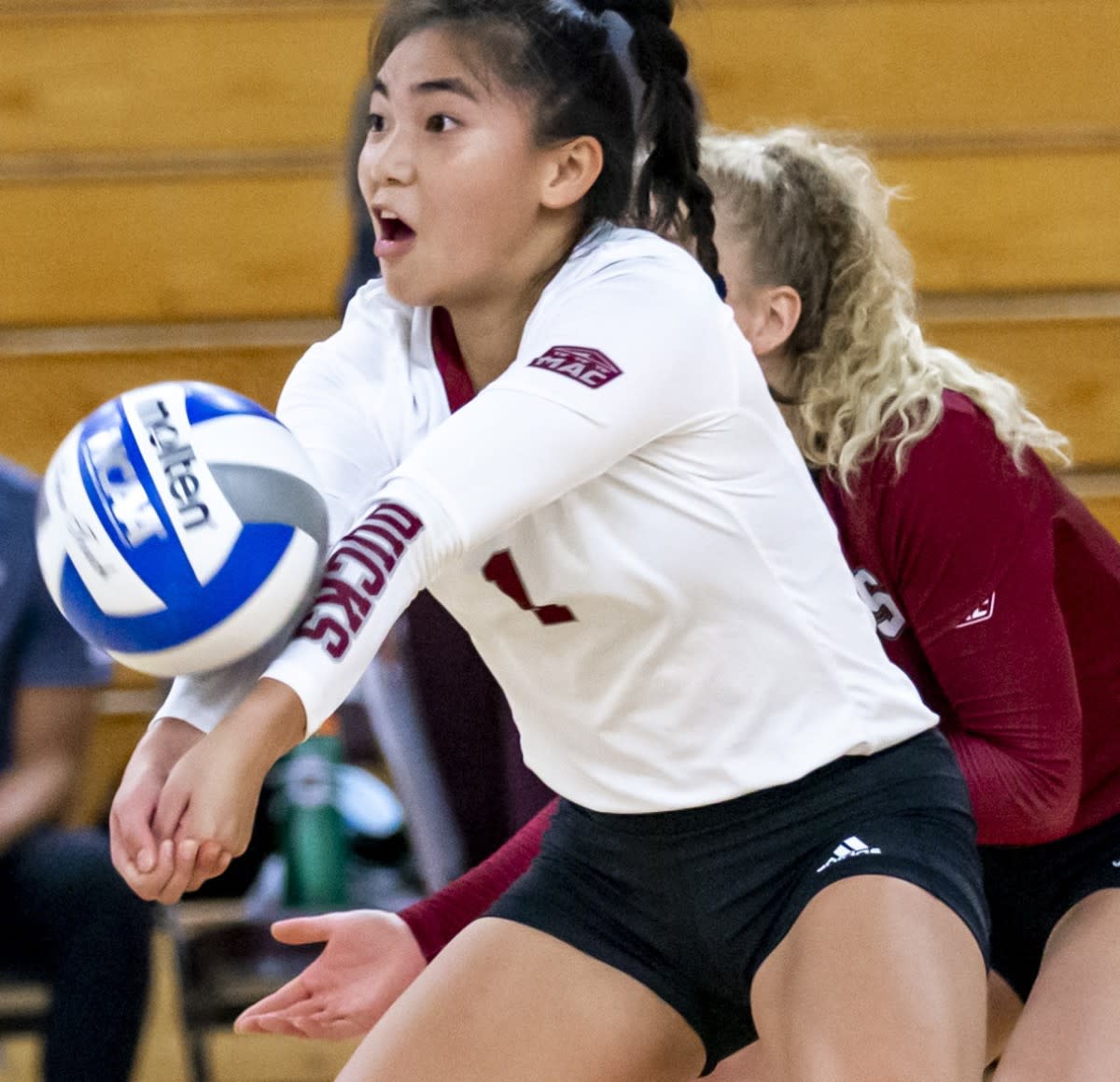 Photo of Volleyball Player, Elizabeth Chu