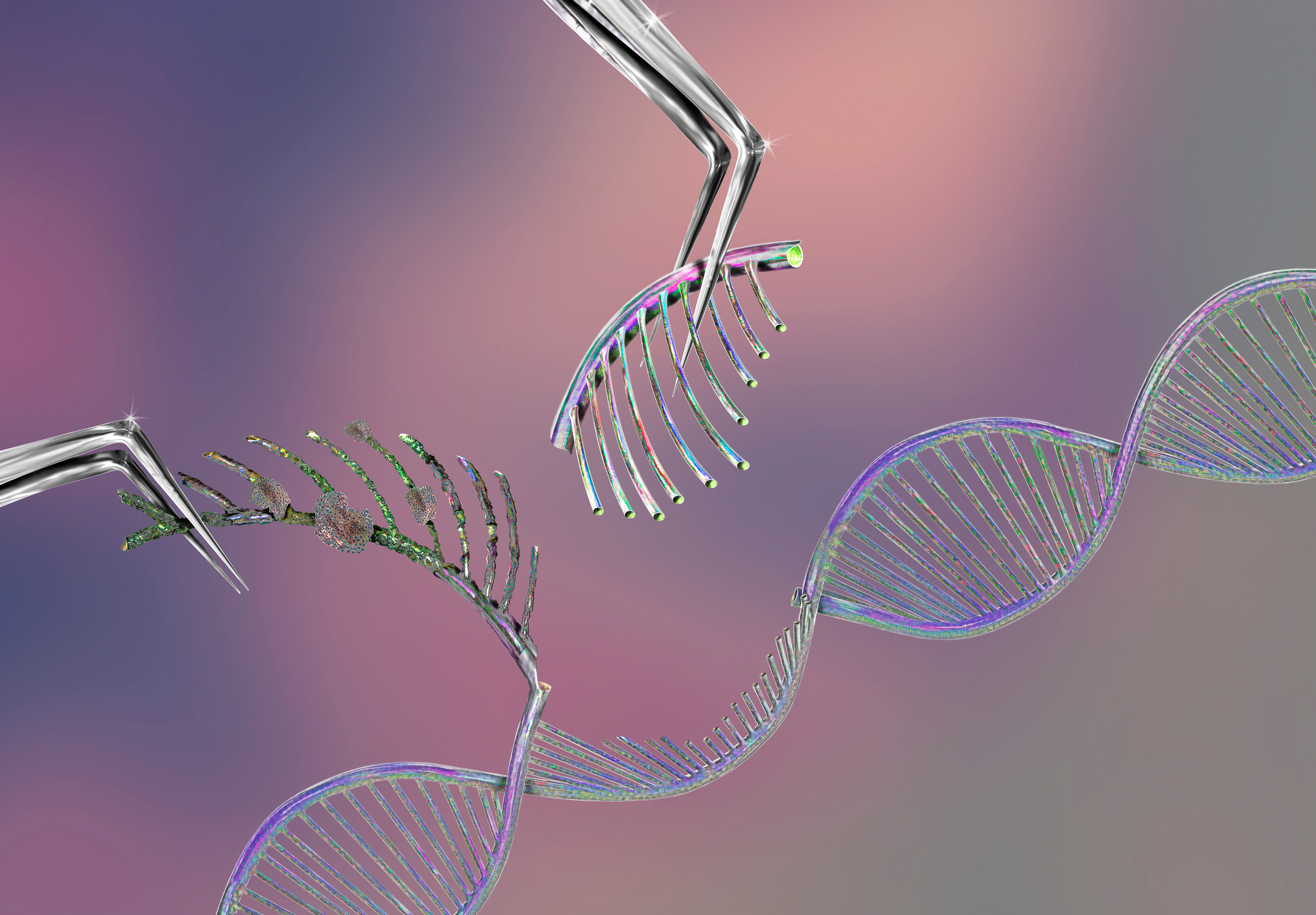 Illustration depicting gene editing: tweezers pulling out part of DNA strand with other tweezers holding a replacement for that part of the strand