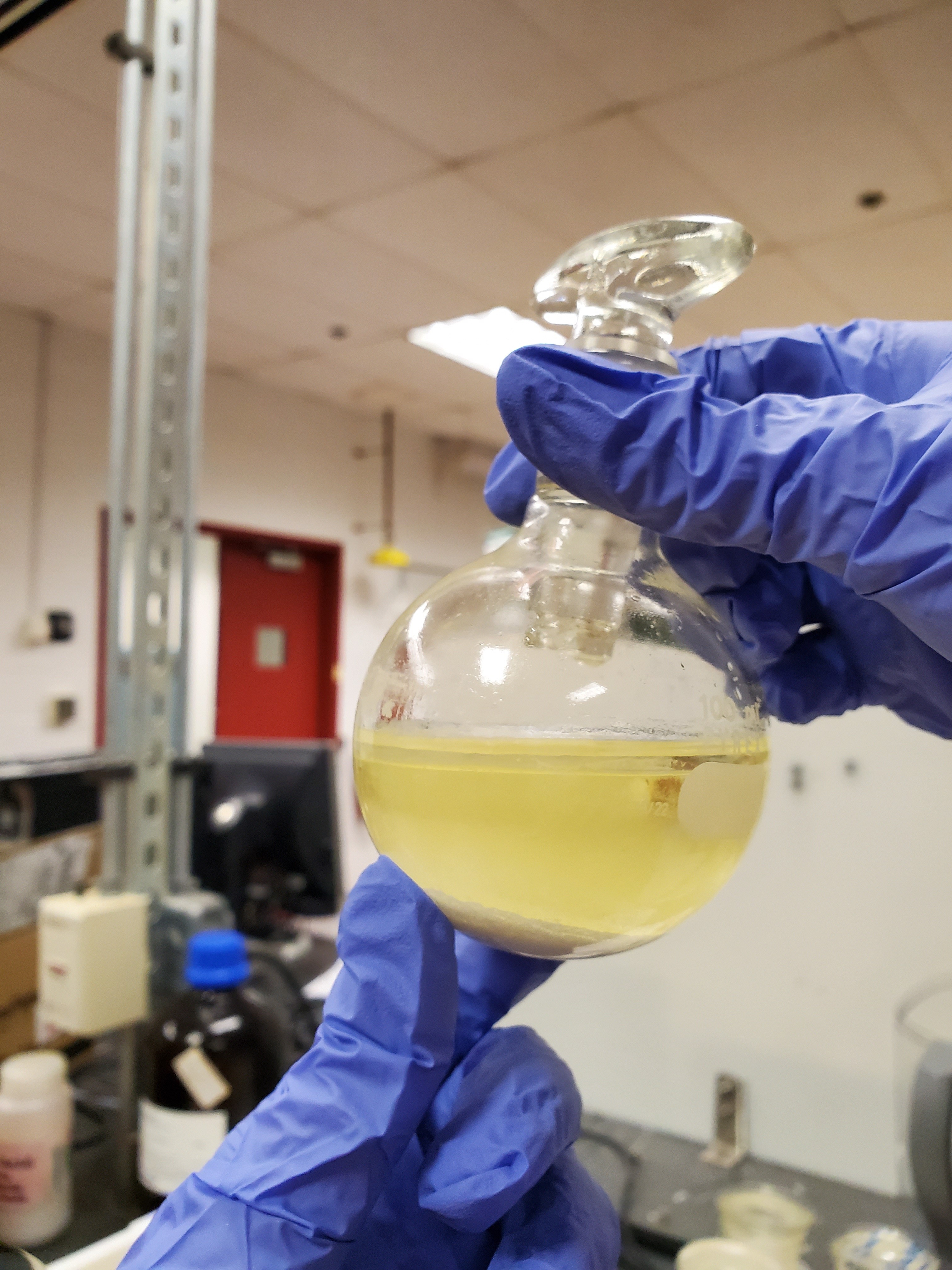 Hands holding flask in lab
