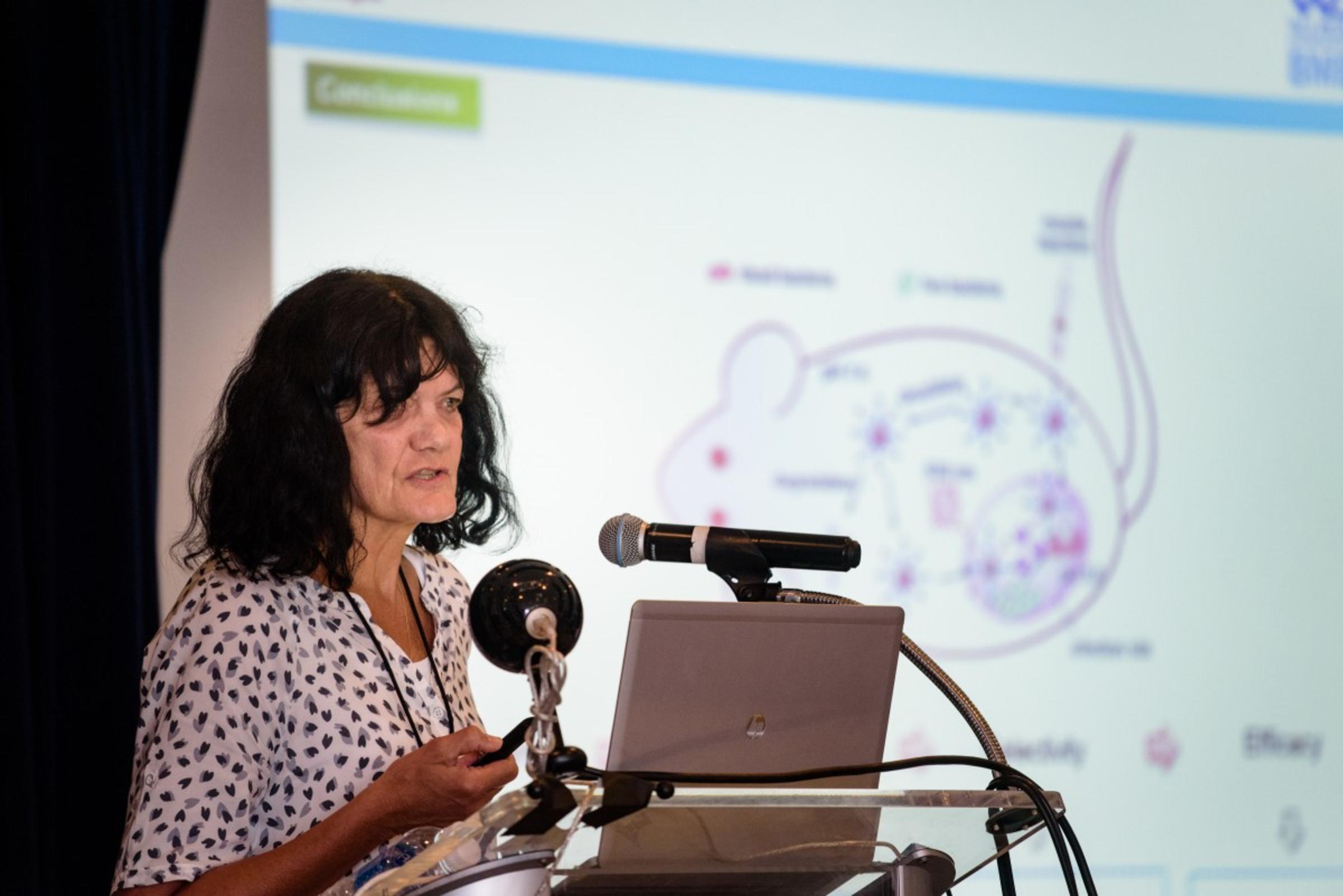 492aac1c4f10334b97b70678807a6851