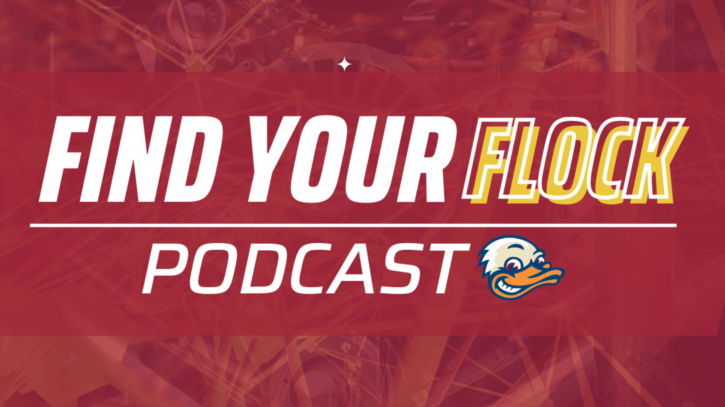 Find Your Flock Podcast