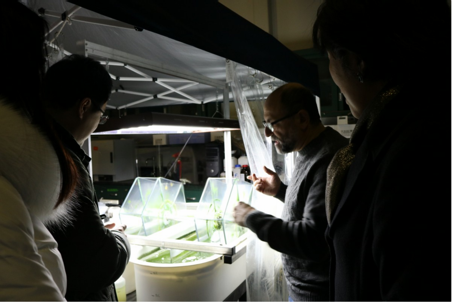 Christos Christodoulatos explains an environmental engineering project in the Nicholl Laboratory to Lin Zhang, Annie Song and Jean Zu