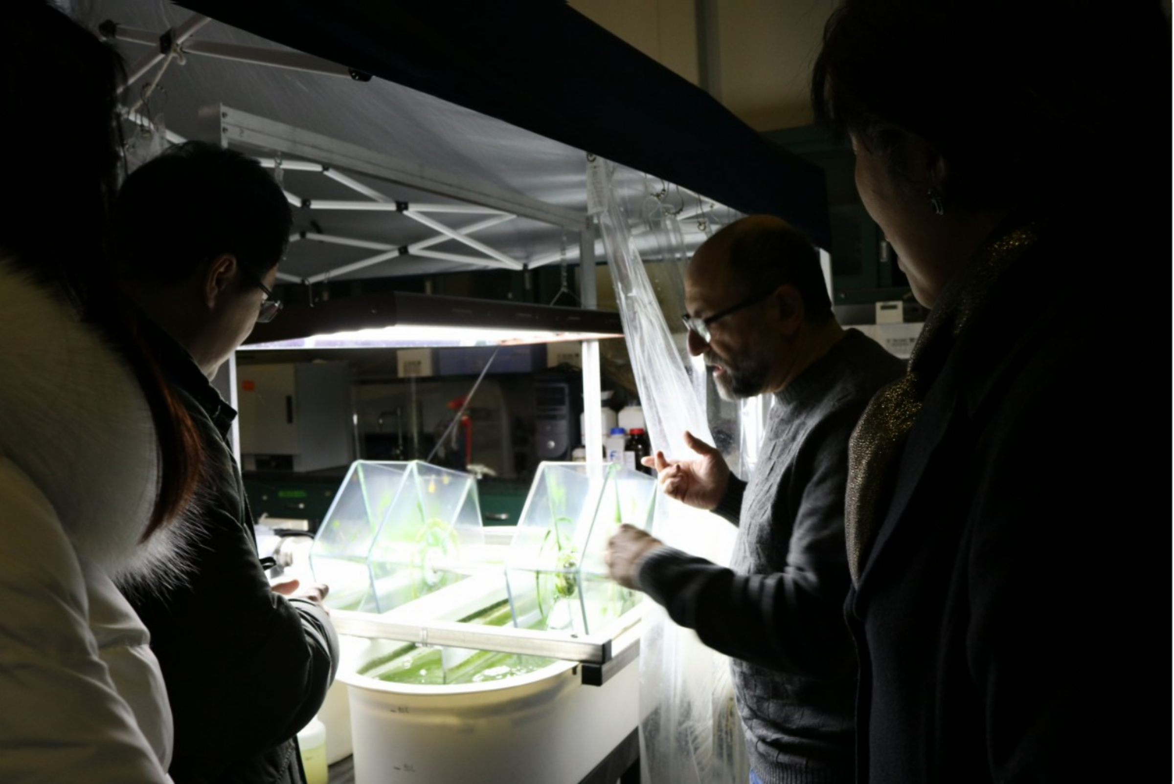 Christos Christodoulatos explains an environmental engineering project in the Nicholl Laboratory to Lin Zhang, Annie Song and Jean Zu