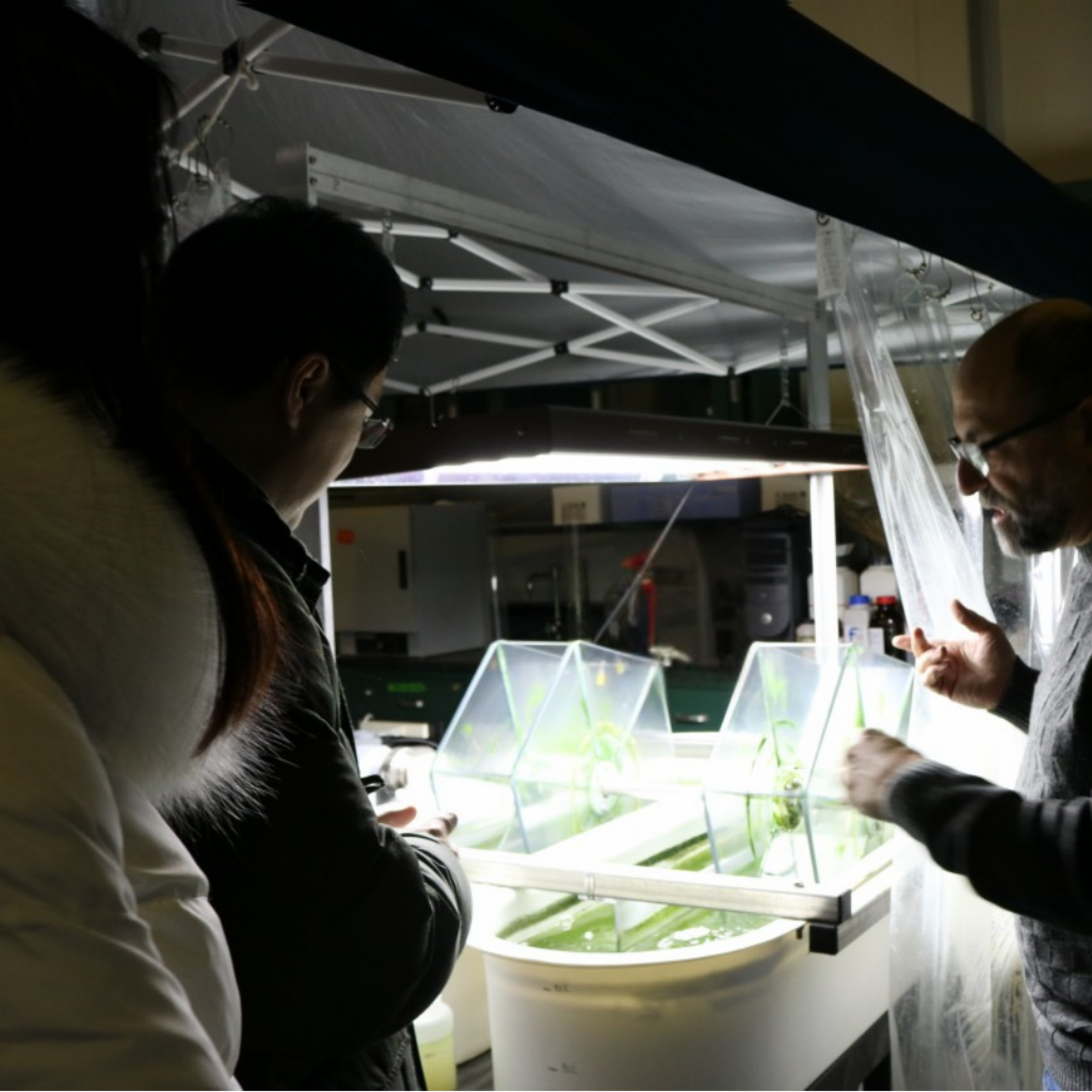 Christos Christodoulatos explains an environmental engineering project in the Nicholl Laboratory to Lin Zhang, Annie Song and Jean Zu