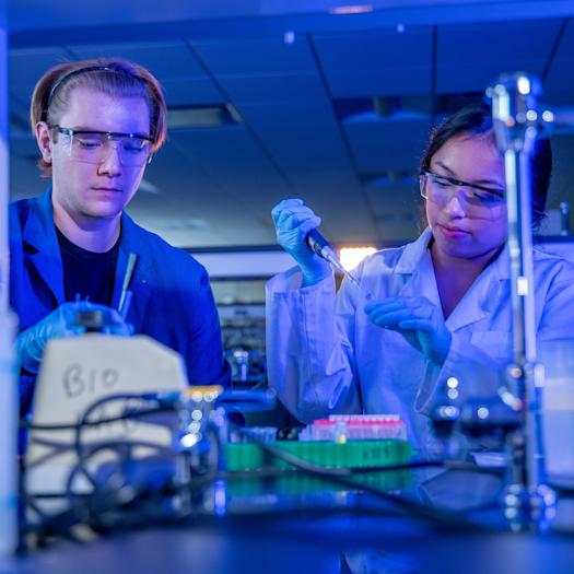 UA - Research Funding FY26