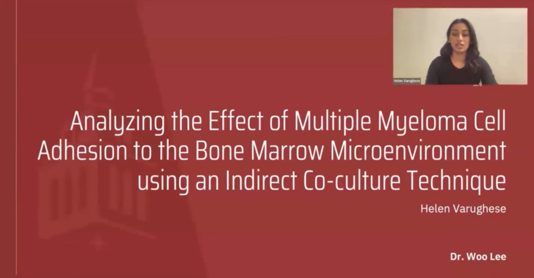 Analyzing the Effect of Multiple Myeloma Cell Adhesion to the Bone Marrow Microenvironment using an Indirect Co-culture Technique, Student: Helen Varughese