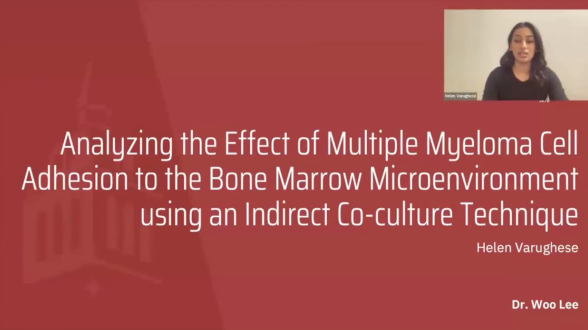 Analyzing the Effect of Multiple Myeloma Cell Adhesion to the Bone Marrow Microenvironment using an Indirect Co-culture Technique, Student: Helen Varughese