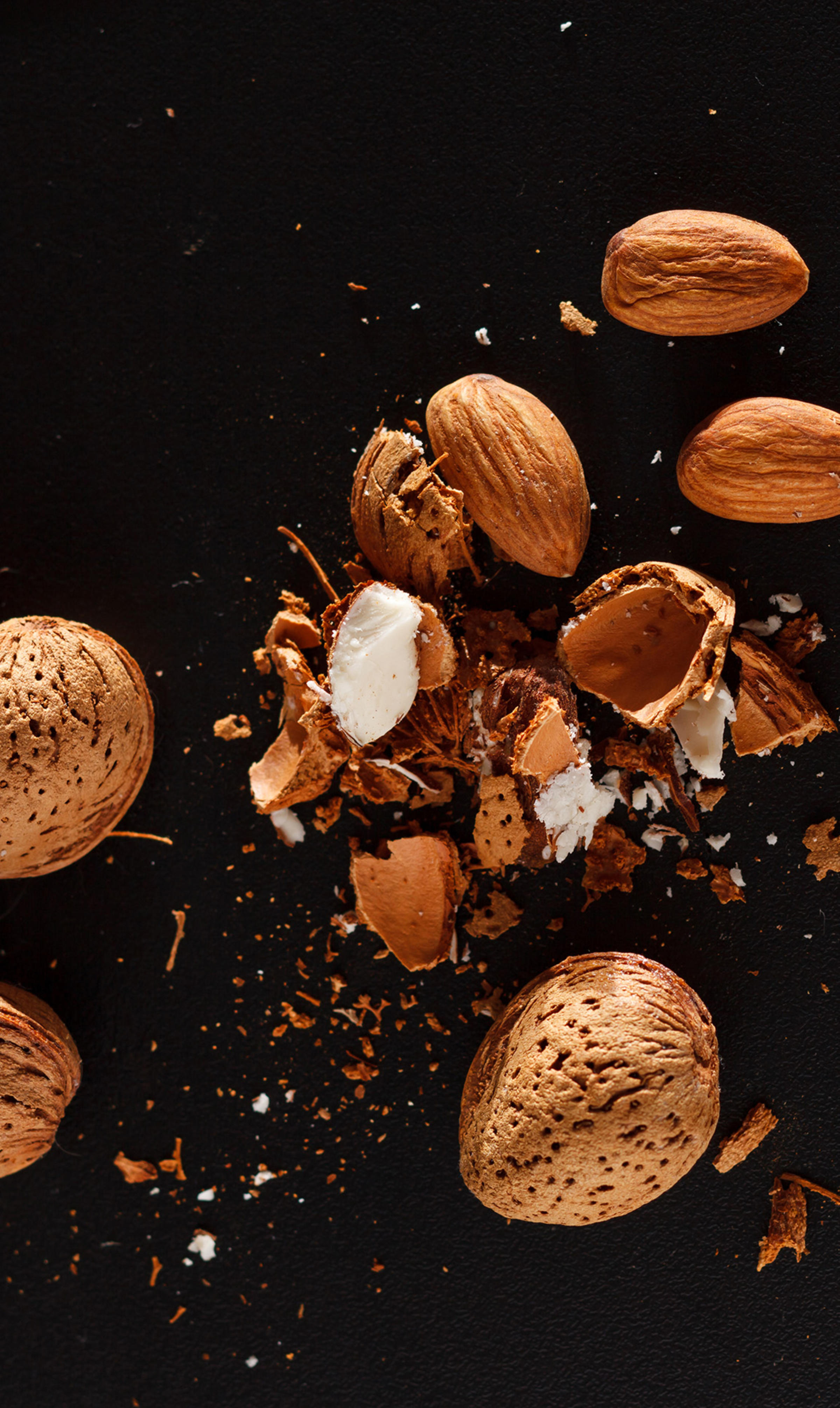 Cracked nuts and shells