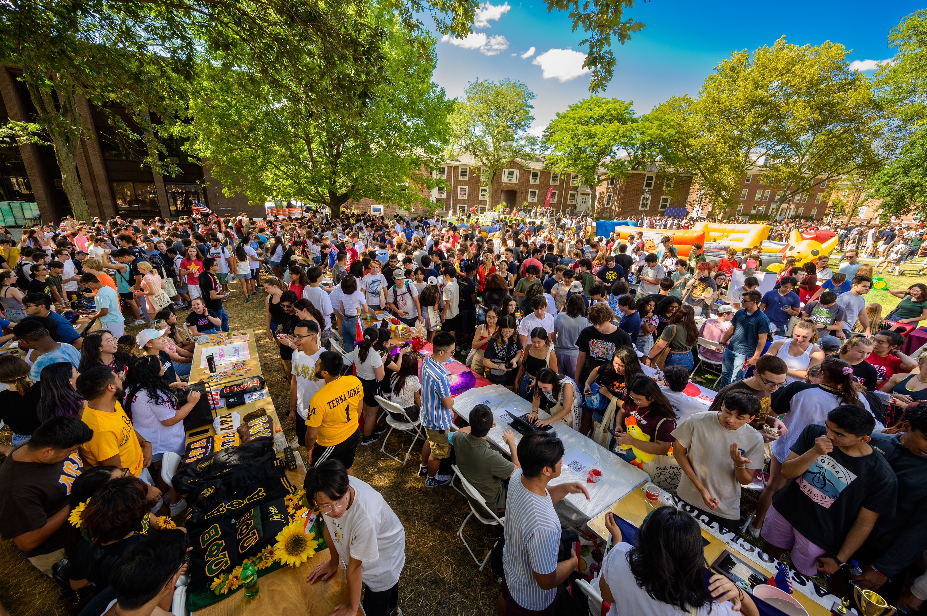 Flock Party student involvement fair