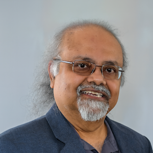 Image of Dibs Sarkar