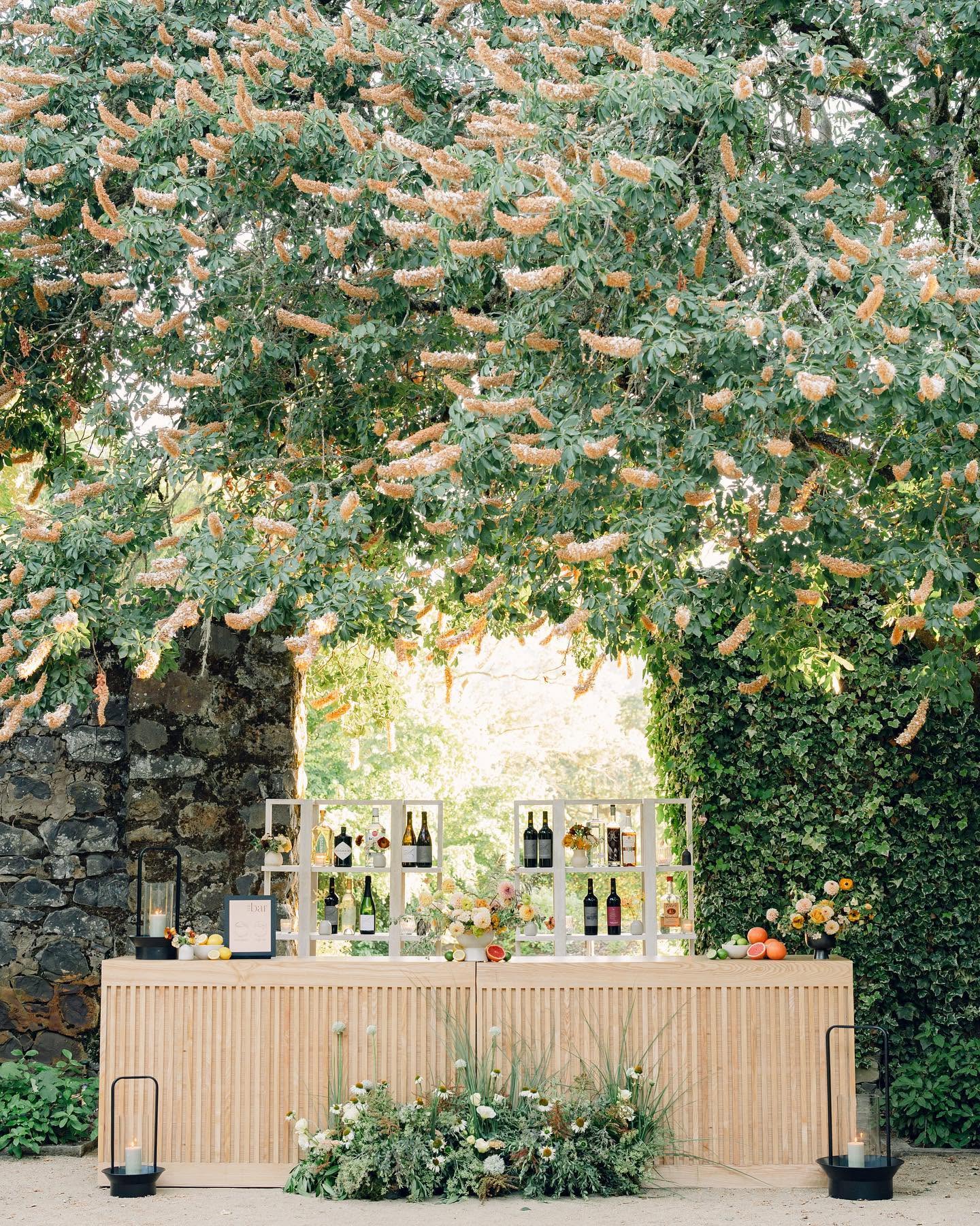 Scenic outdoor wine bar surrounded by greenery at Annadel Estate Winery in California