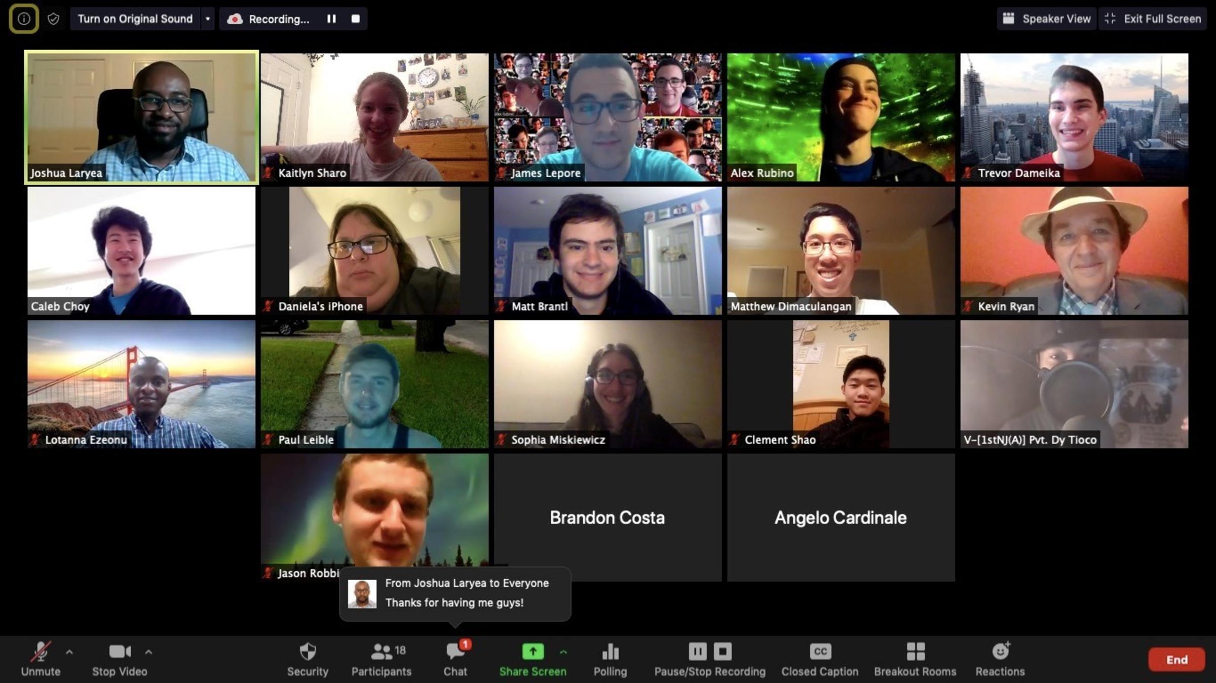 Screenshot from video conference call