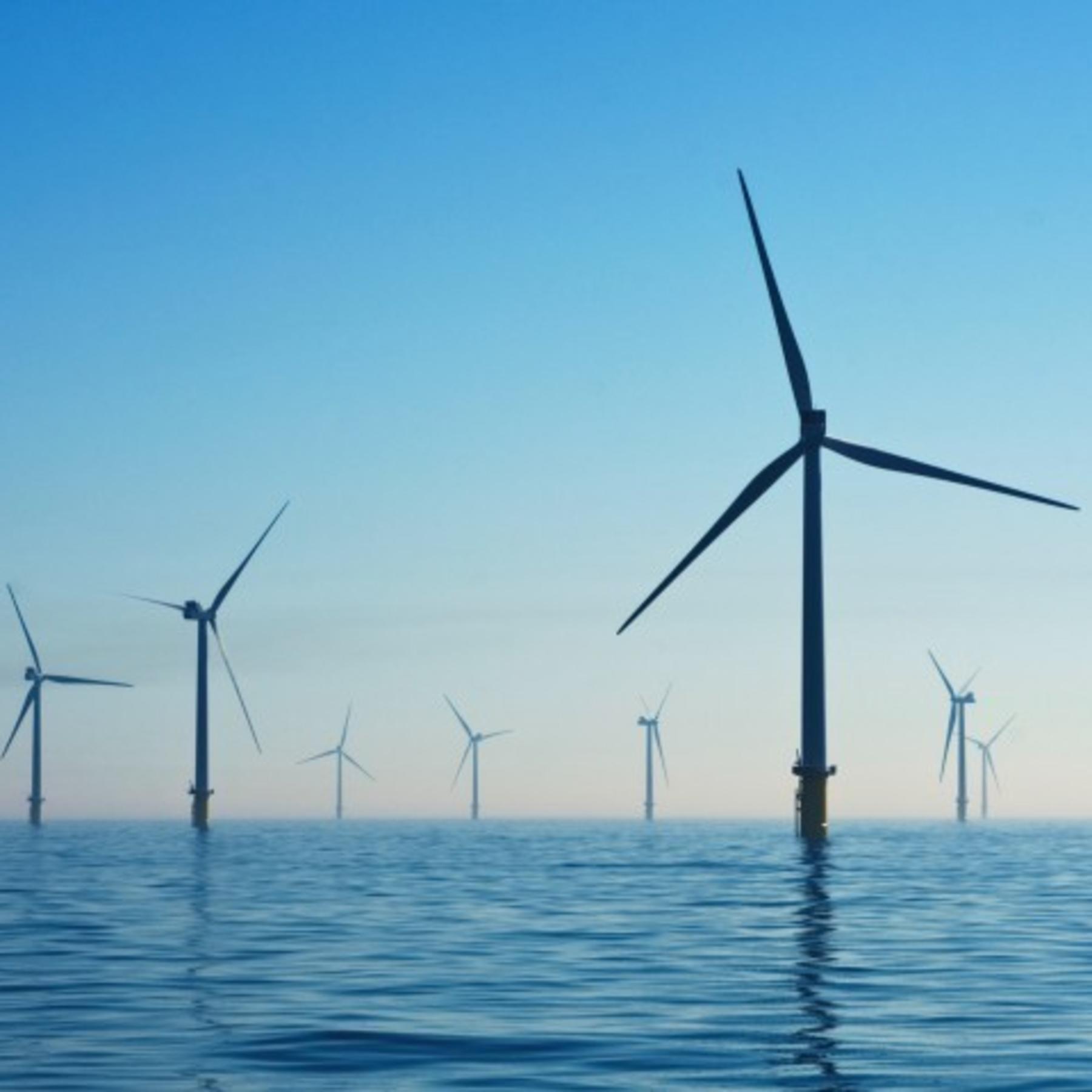 Enthusiasm for Green Energy Varies