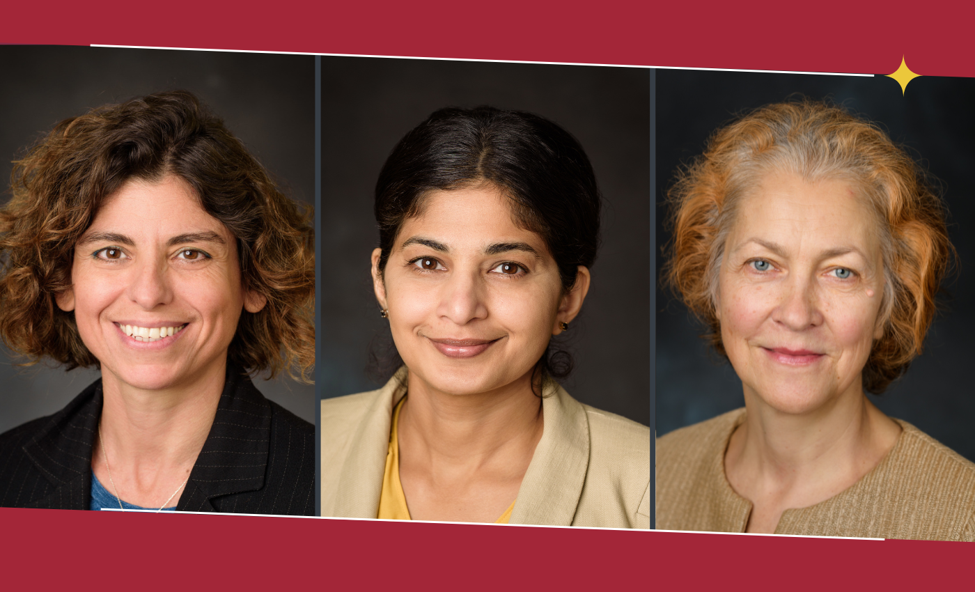 From left to right, staff headshots of Pinar Akcora, Ansu Perekatt and Svetlana Malinovskaya