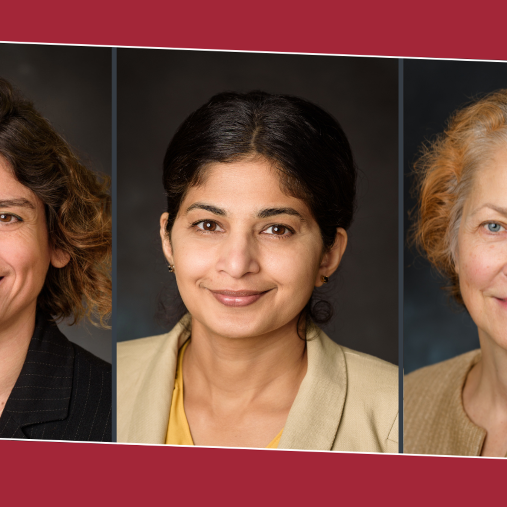 From left to right, staff headshots of Pinar Akcora, Ansu Perekatt and Svetlana Malinovskaya