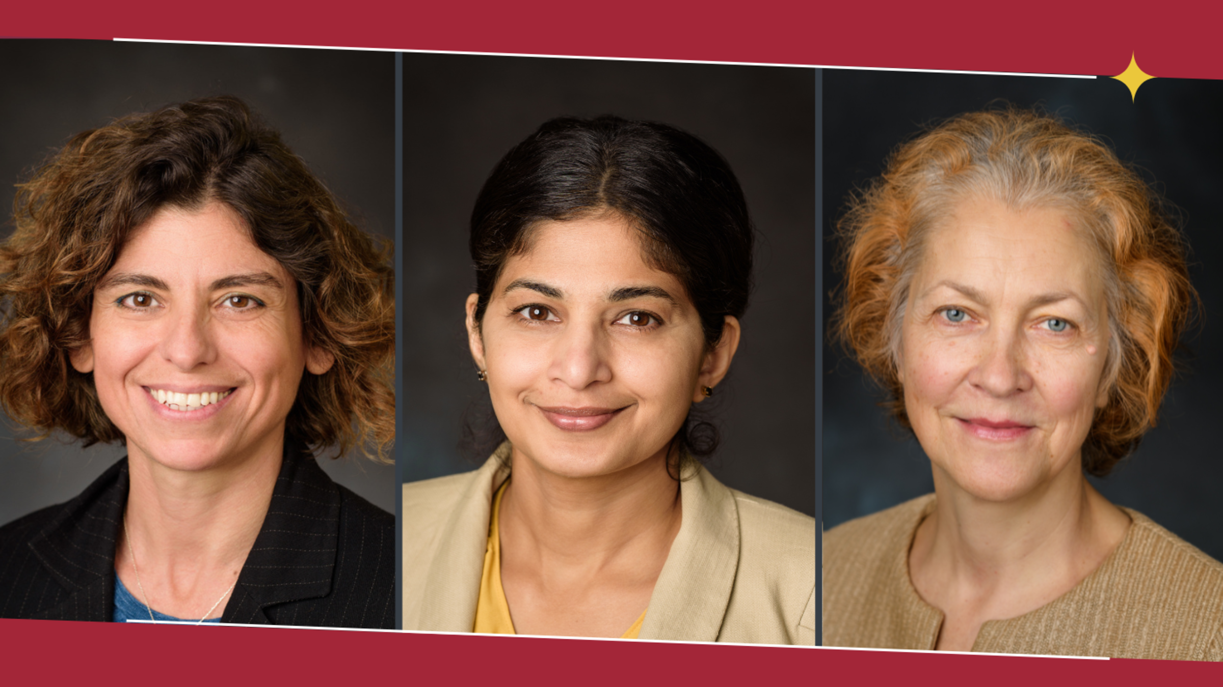 From left to right, staff headshots of Pinar Akcora, Ansu Perekatt and Svetlana Malinovskaya