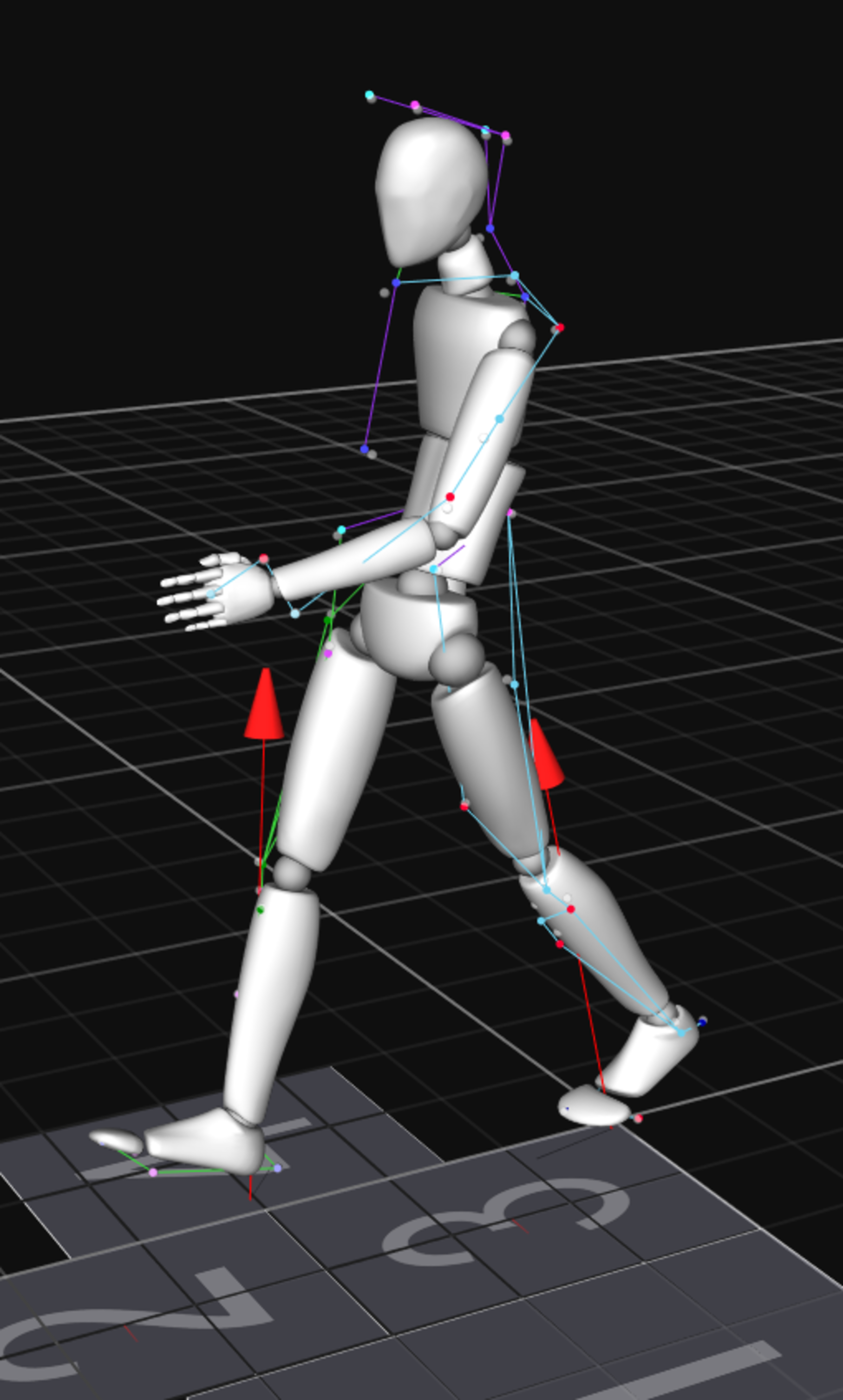Model of person walking