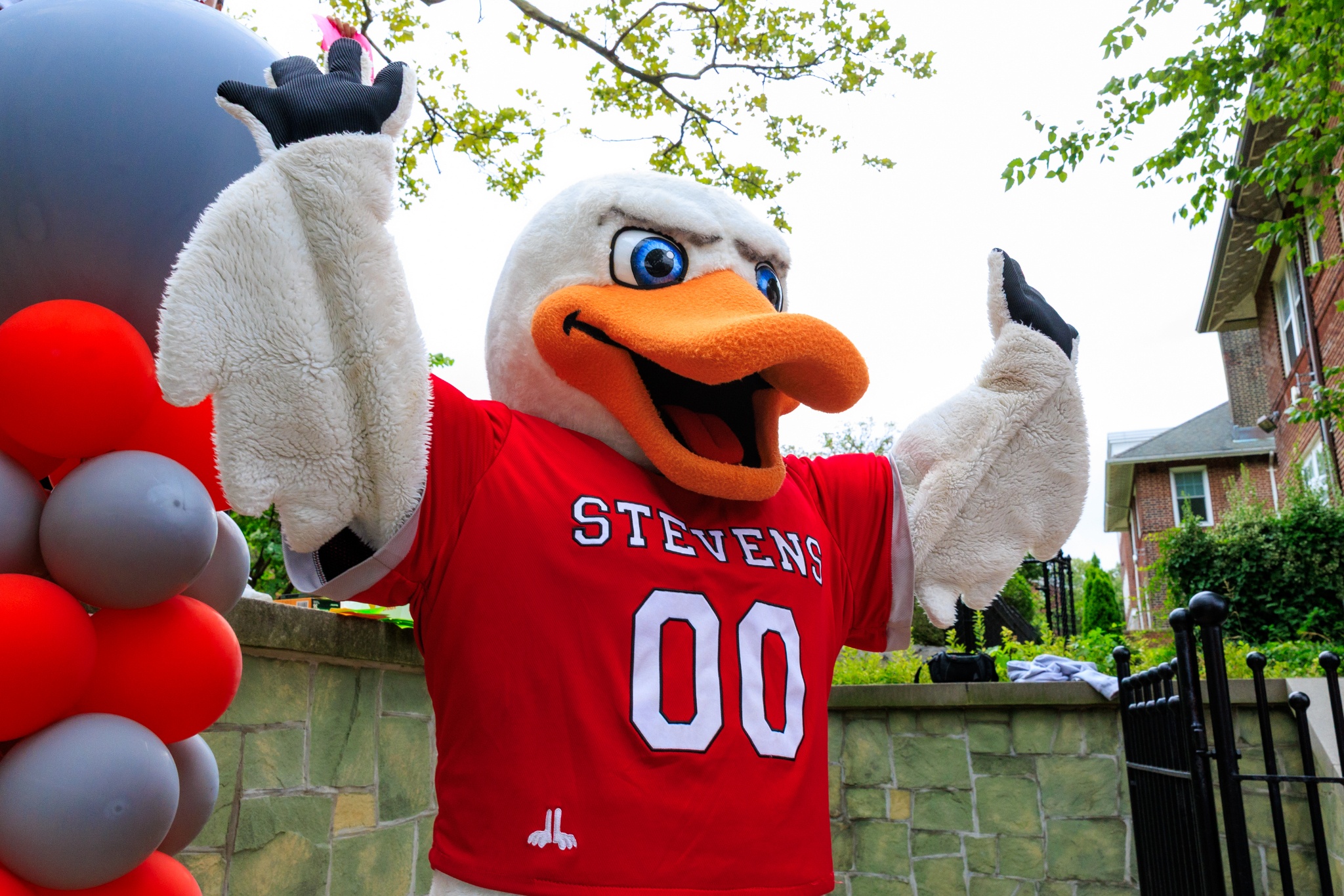 Stevens Ducks mascot Attila in a red Stevens jersey raises both wings while standing outdoors near red, gray and white balloons, a stone wall and campus buildings.