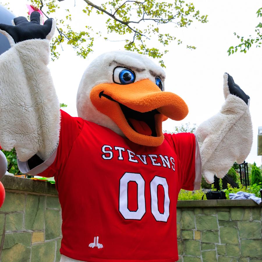 Stevens Ducks mascot Attila in a red Stevens jersey raises both wings while standing outdoors near red, gray and white balloons, a stone wall and campus buildings.