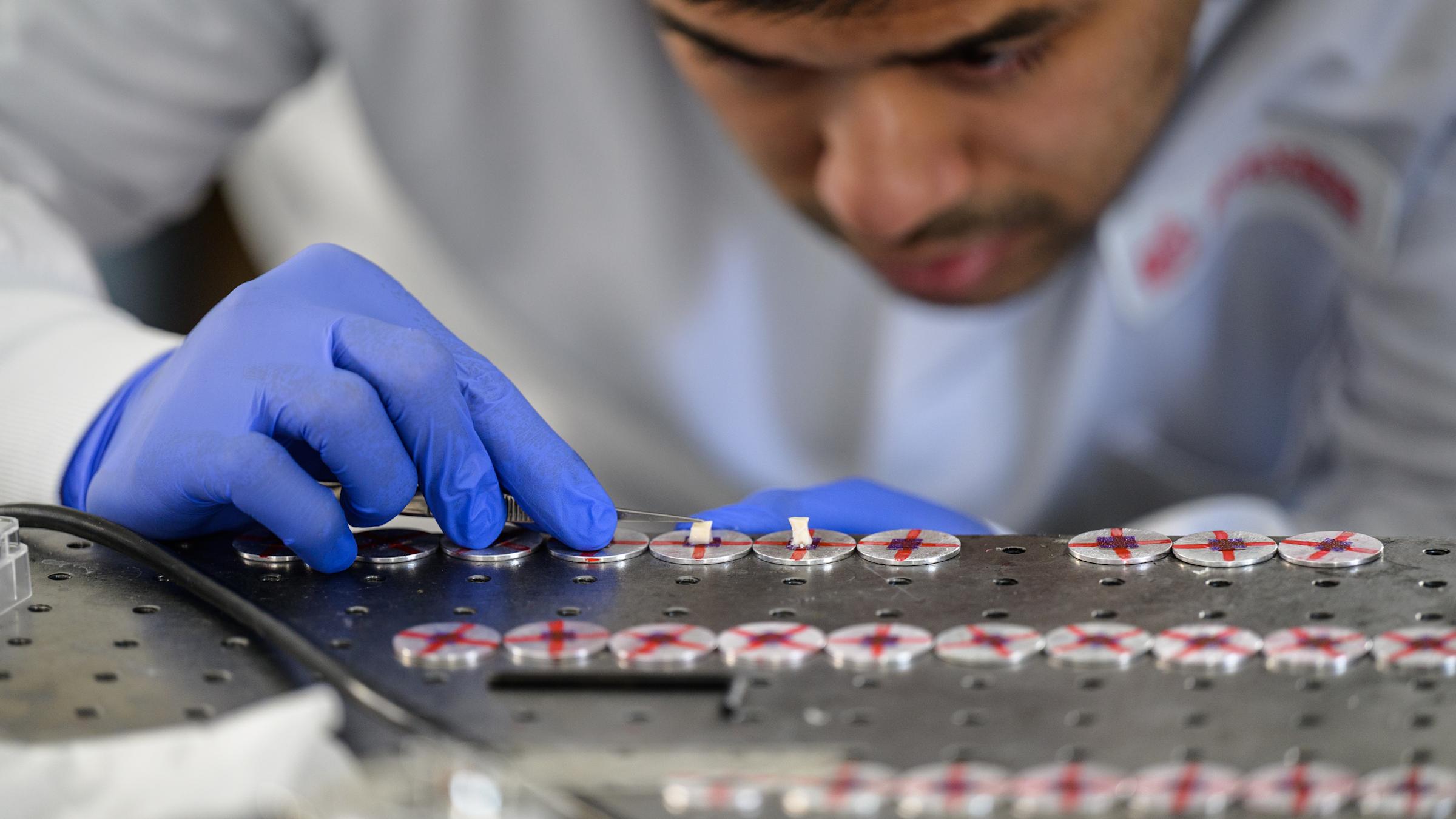 Undergraduate Research