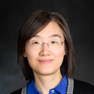 Image of Hui Wang