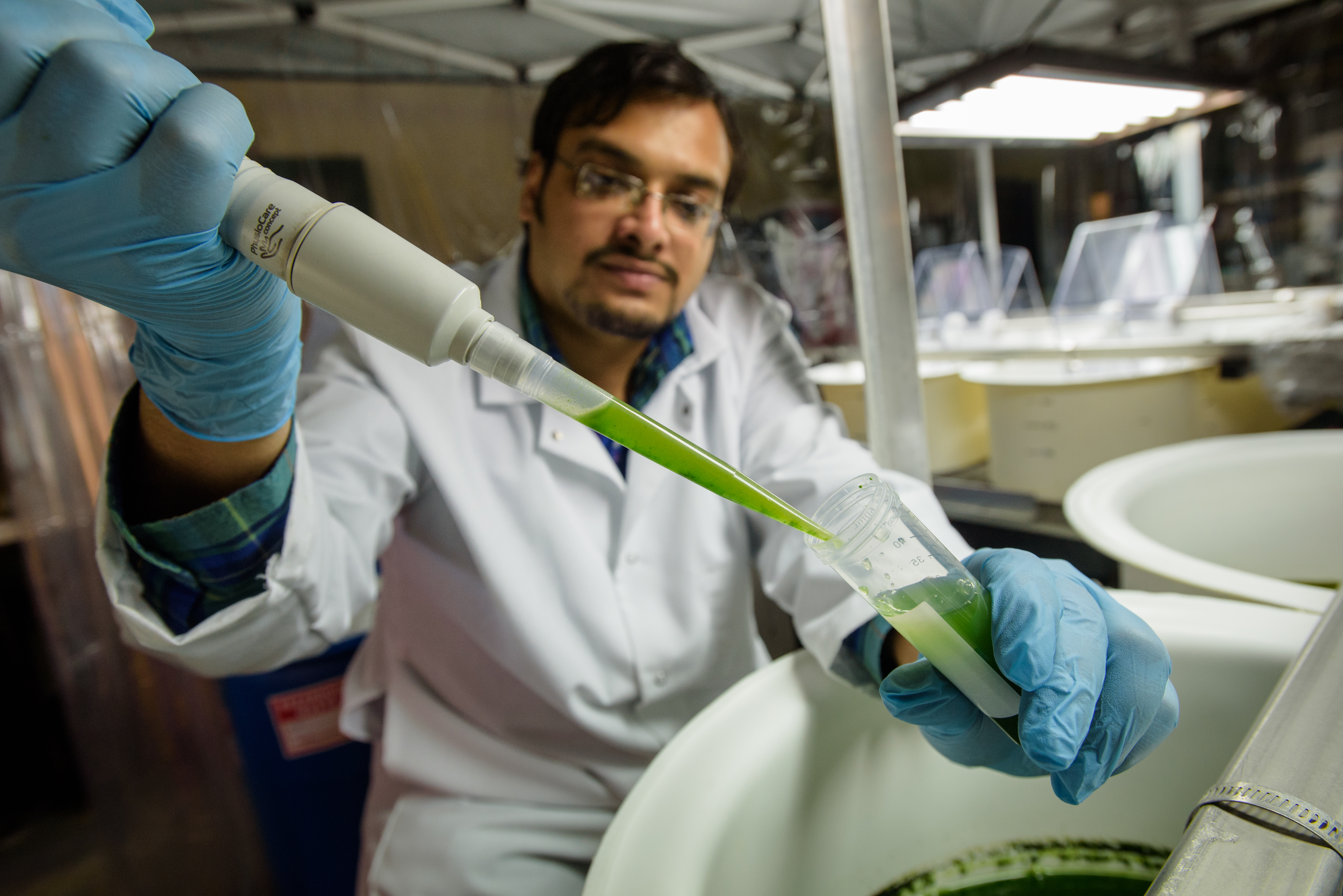 Lab technician pours algae from syringe into vial