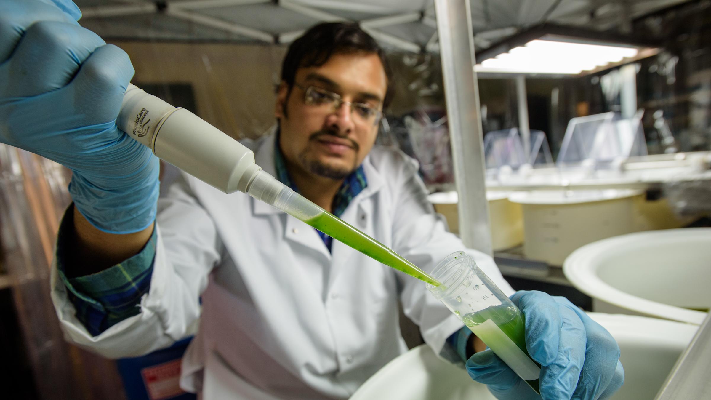Lab technician pours algae from syringe into vial