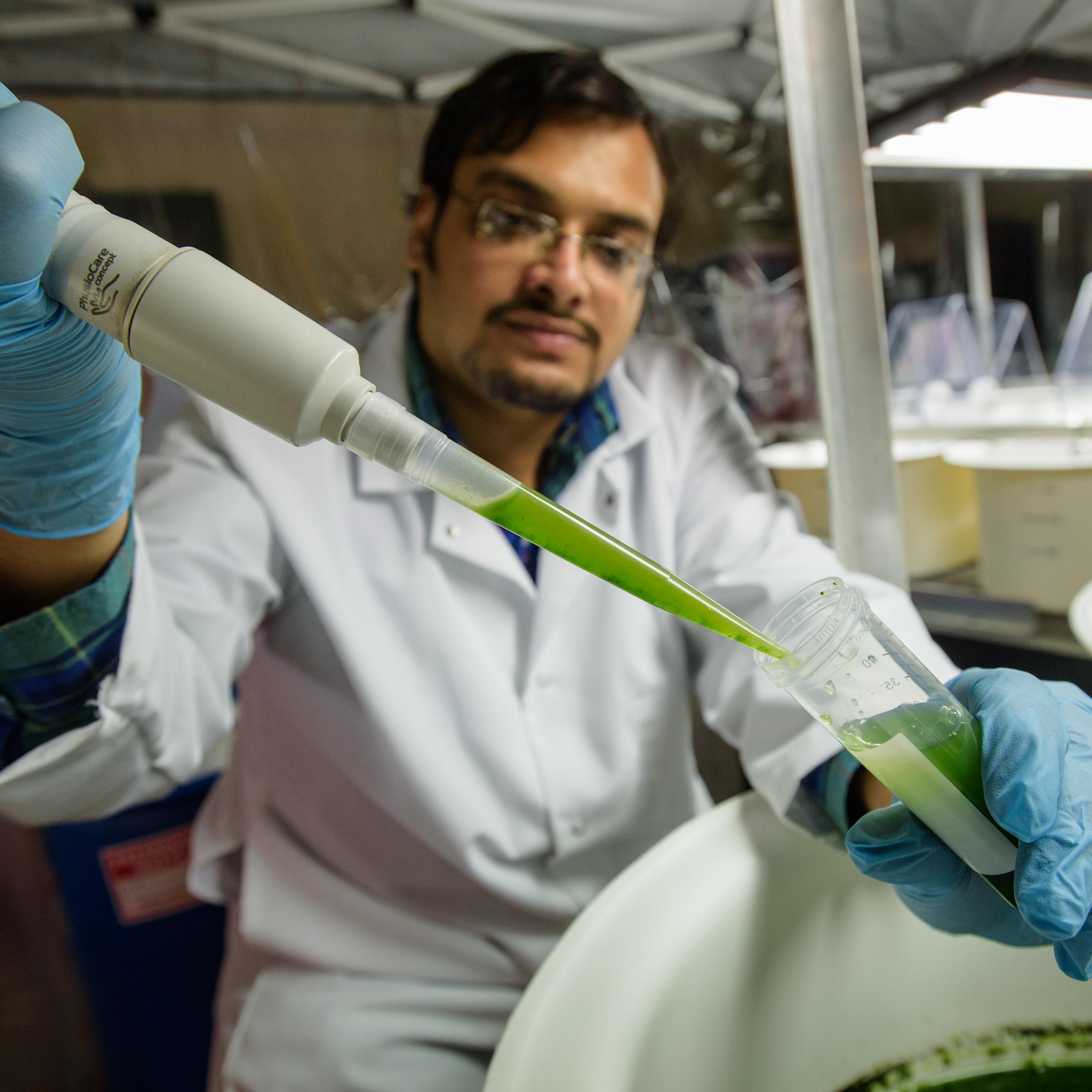 Lab technician pours algae from syringe into vial