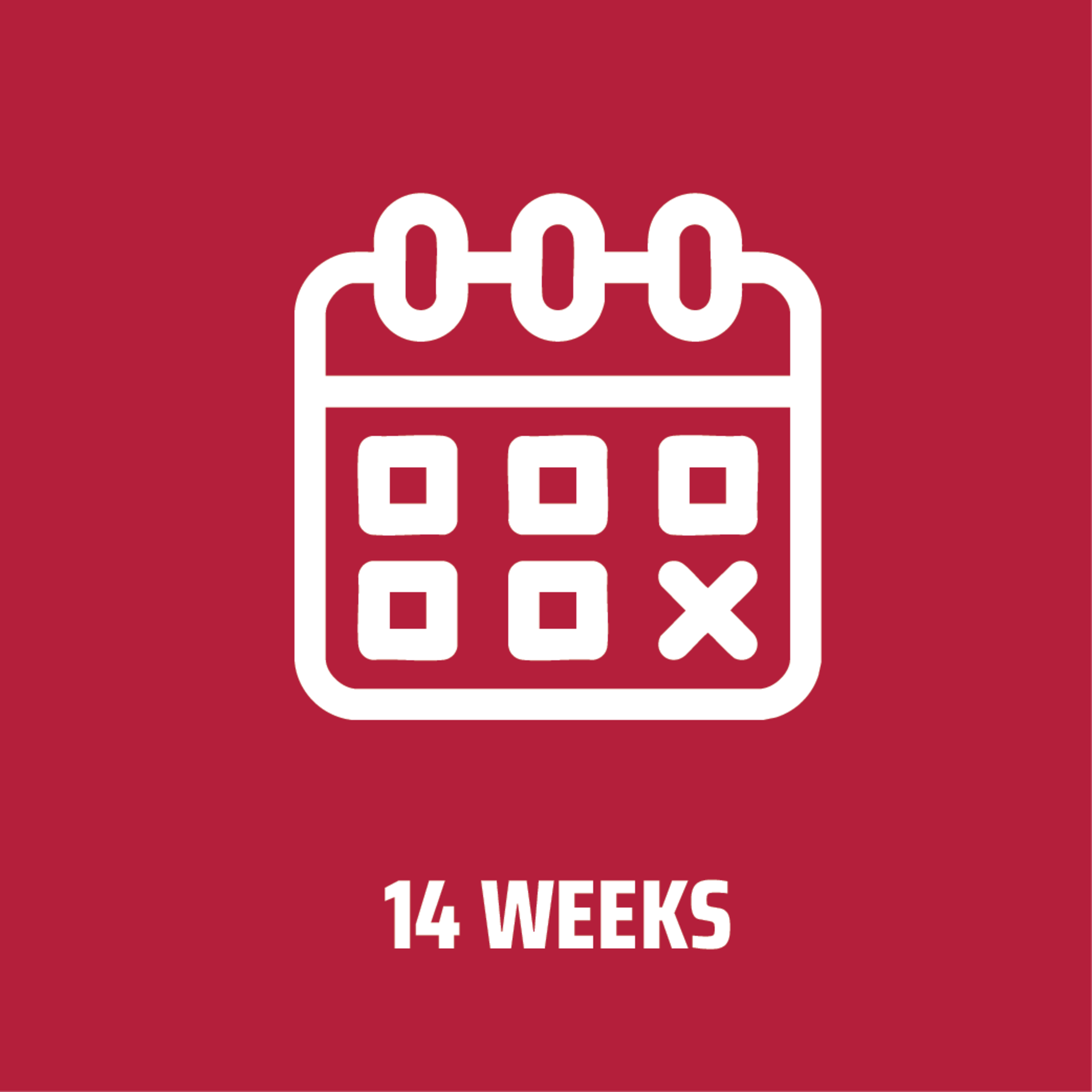 14 weeks to complete