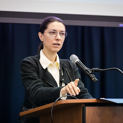 UA - 9.10.26 SIAI Director