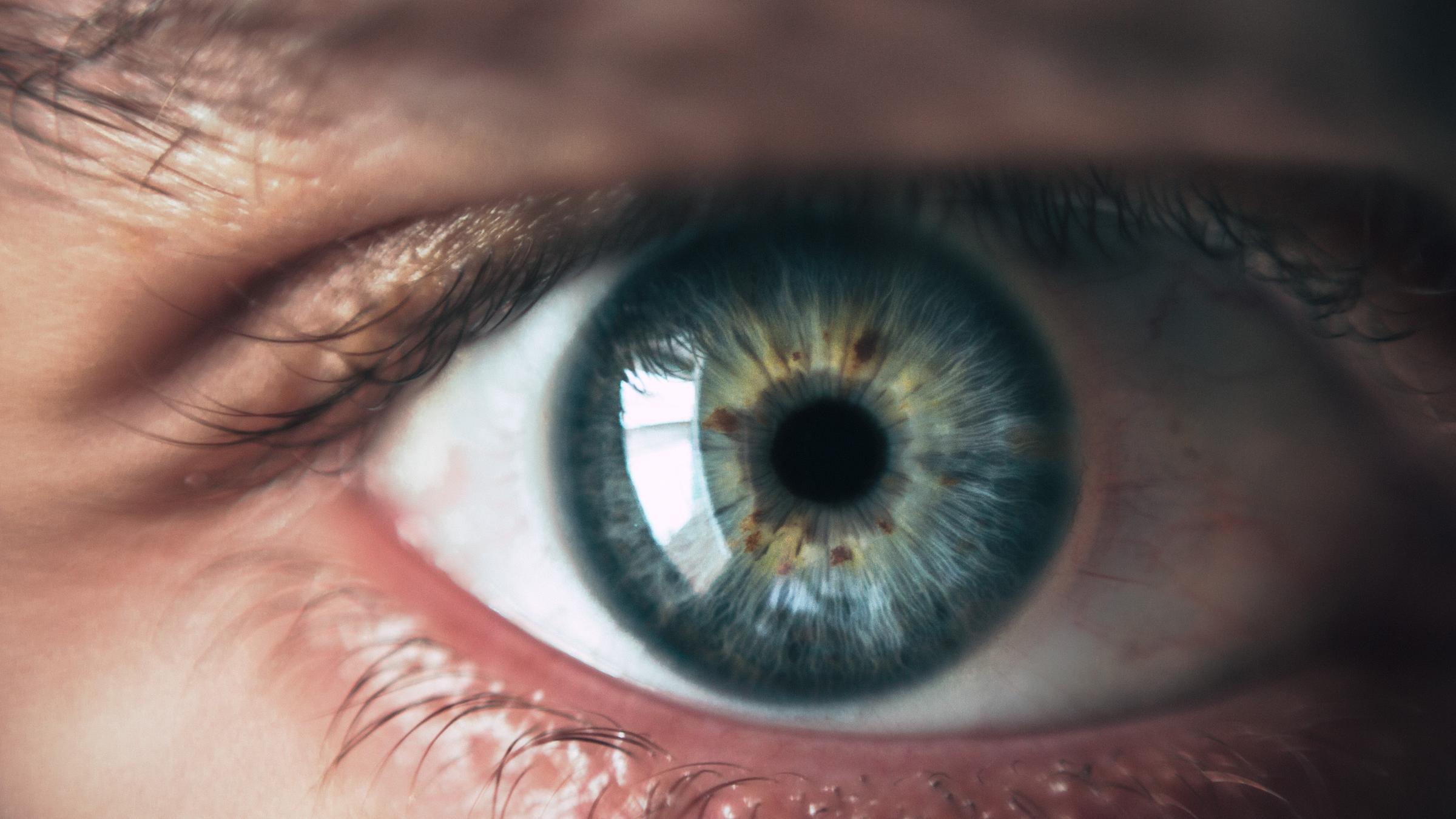 Close-up of a blue eye.
