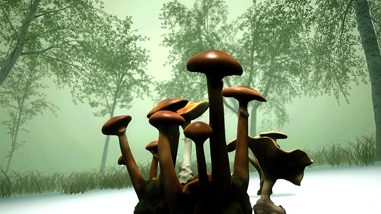 Still from Honey Fungus showing an interpretation of a fungal reproduction network in VR. 