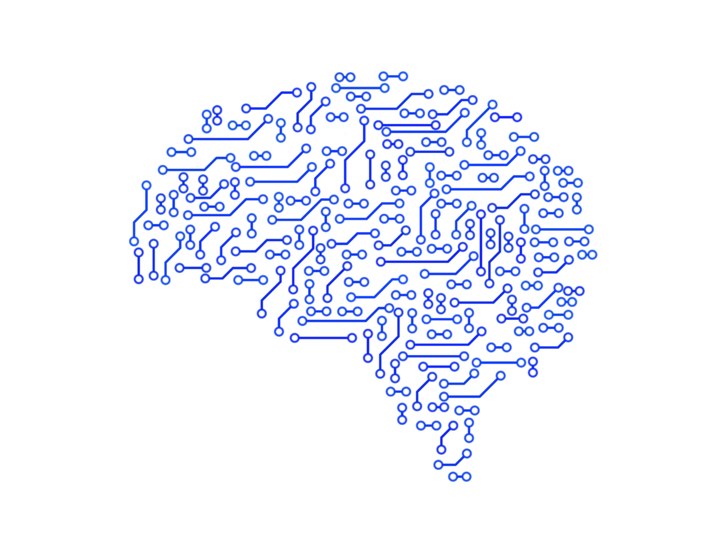 A rendering of circuits shaping into a human brain structure.