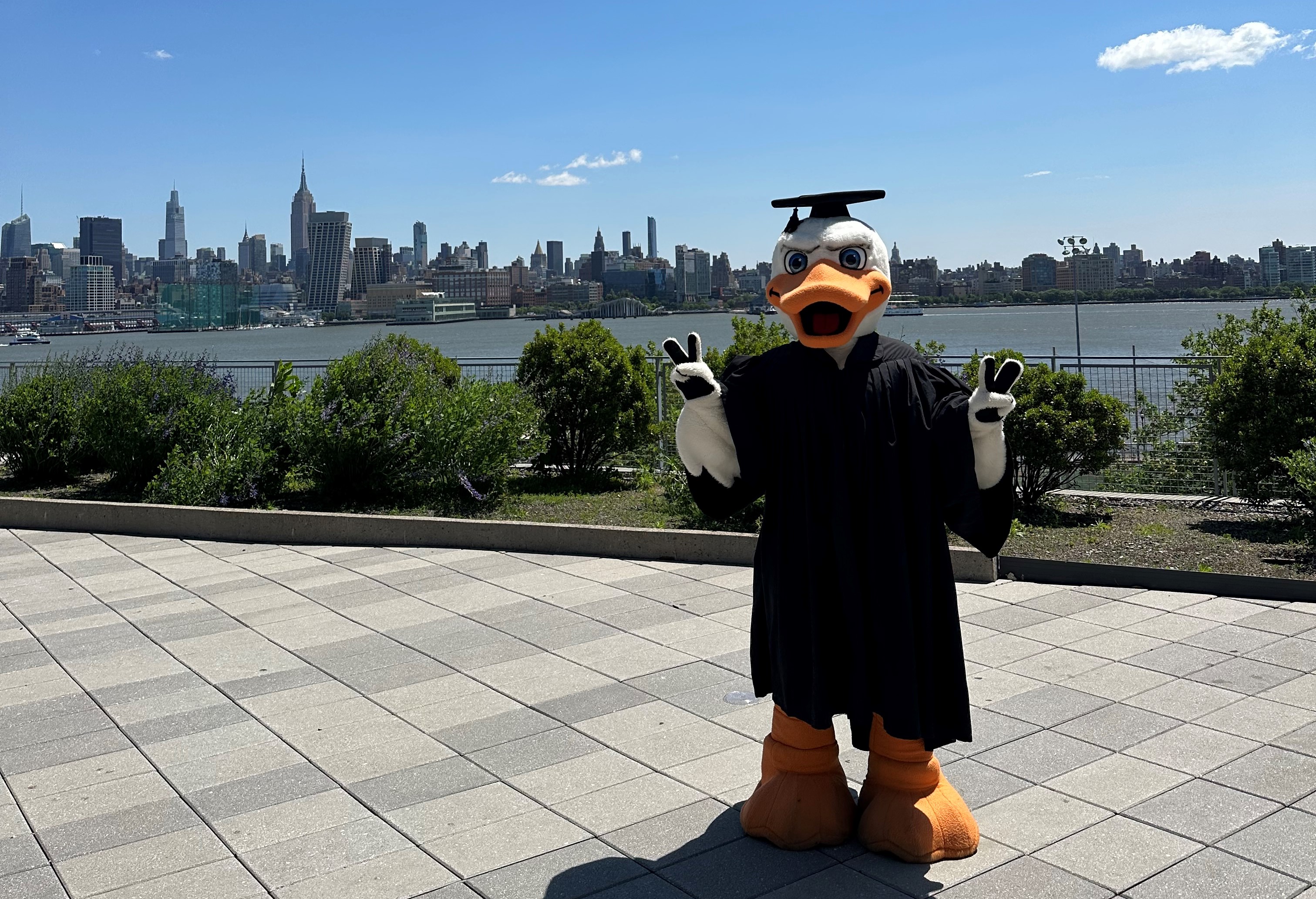 Attila dressed in commencement regalia posing on the Babbio Patio with the Midtown Manhattan skyline in the background.
