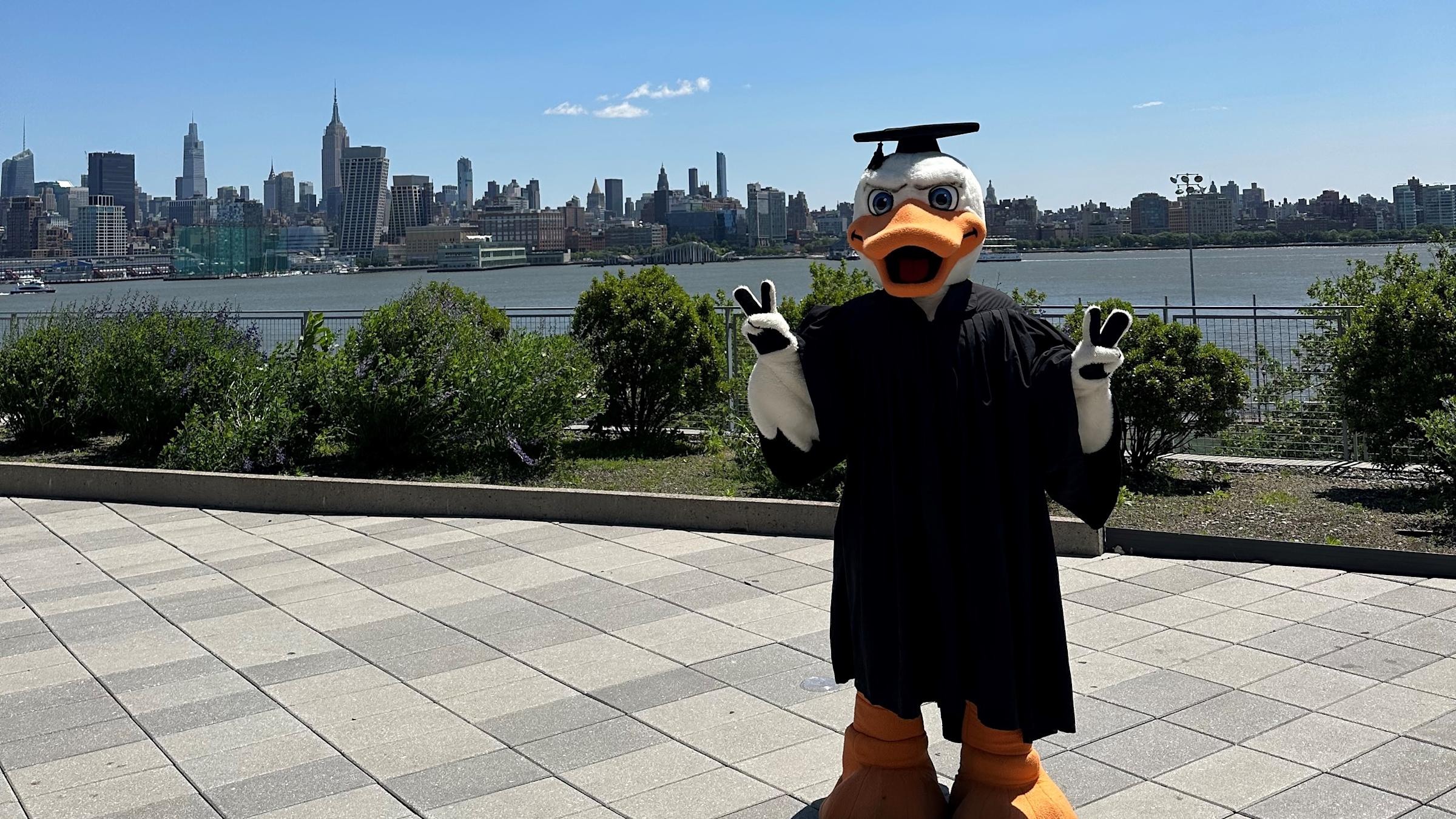 Attila dressed in commencement regalia posing on the Babbio Patio with the Midtown Manhattan skyline in the background.
