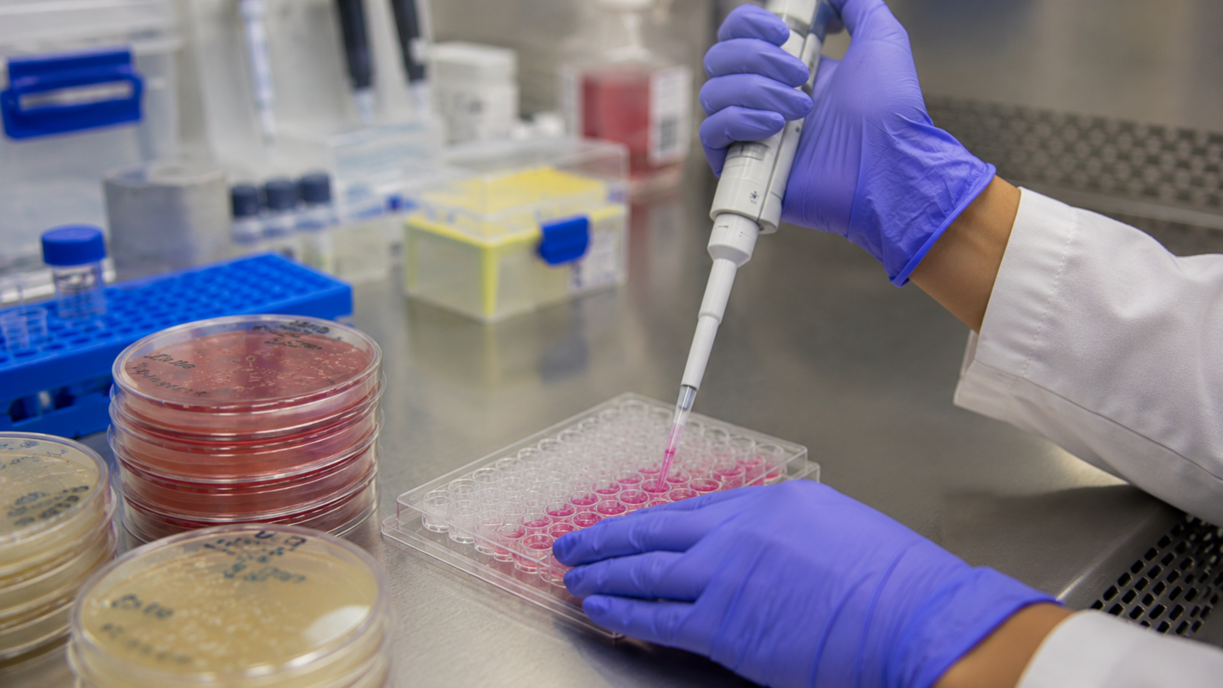 Stevens Researchers Reveal How Mature Gut Cells Turn into Cancer-Driving Stem Cells